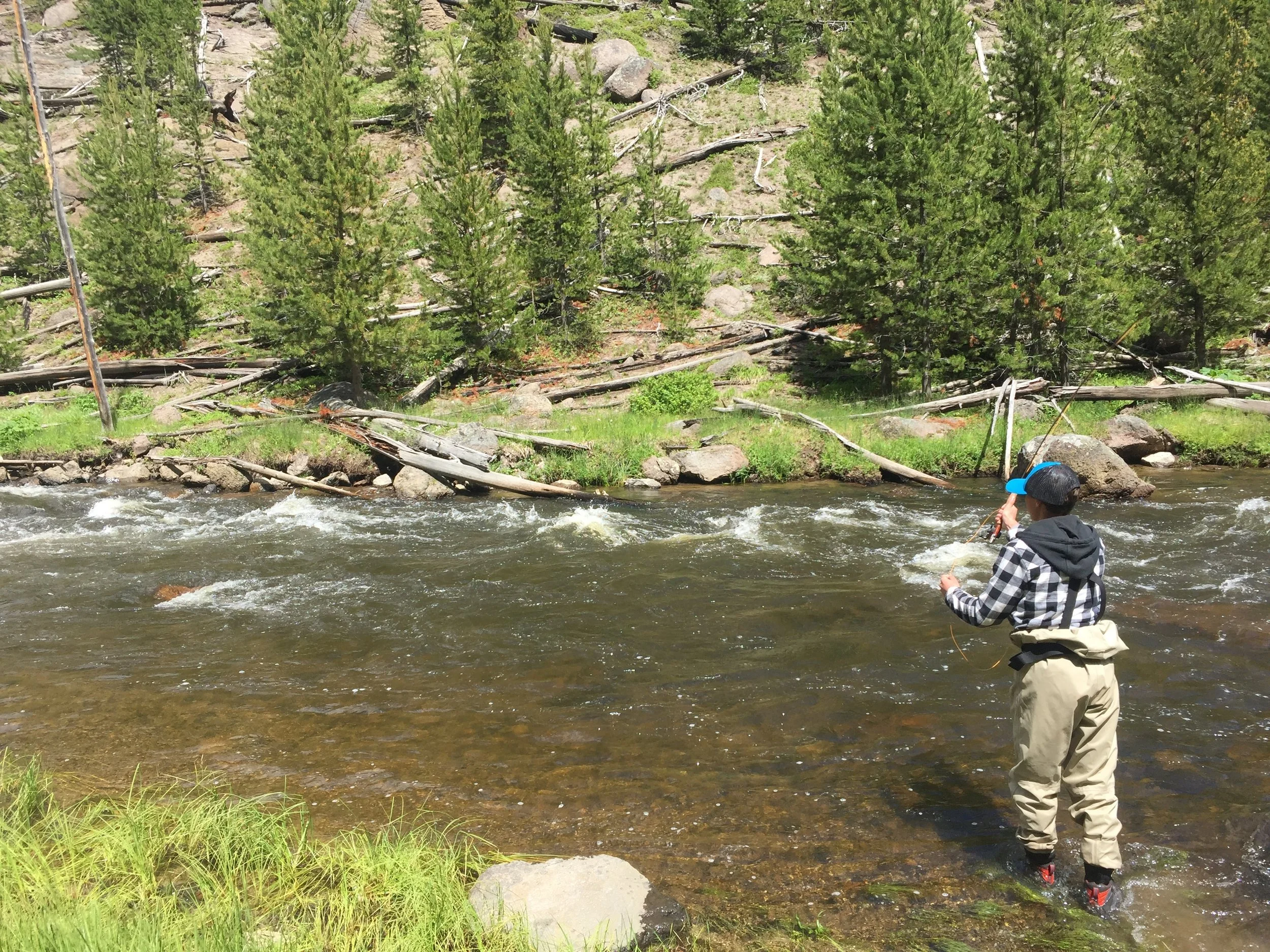 Canyon walls, trees, and rocks create great structure