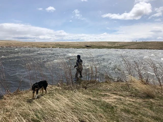 Is it windy in Montana?