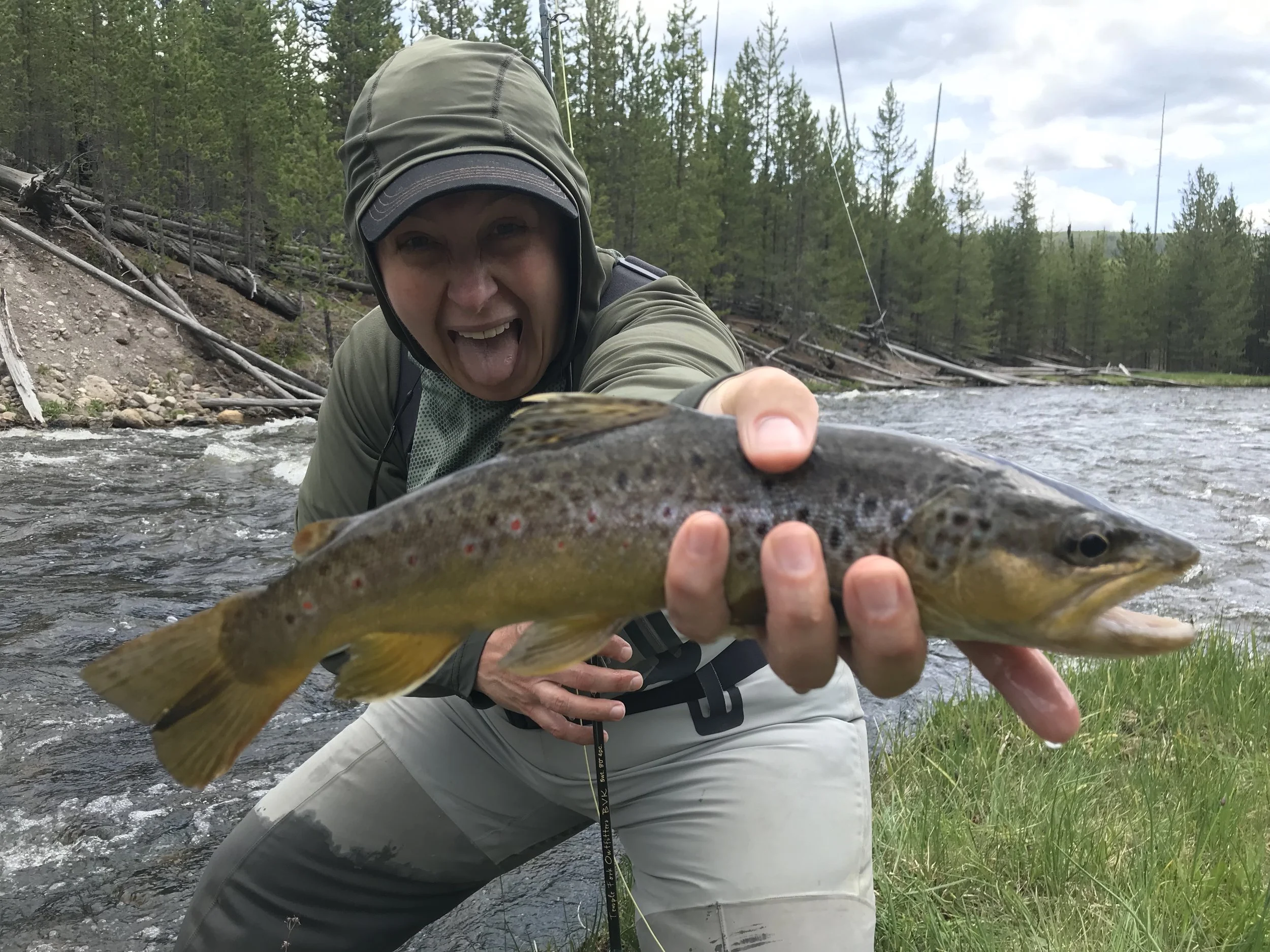 Gibbon River Chubby eater!