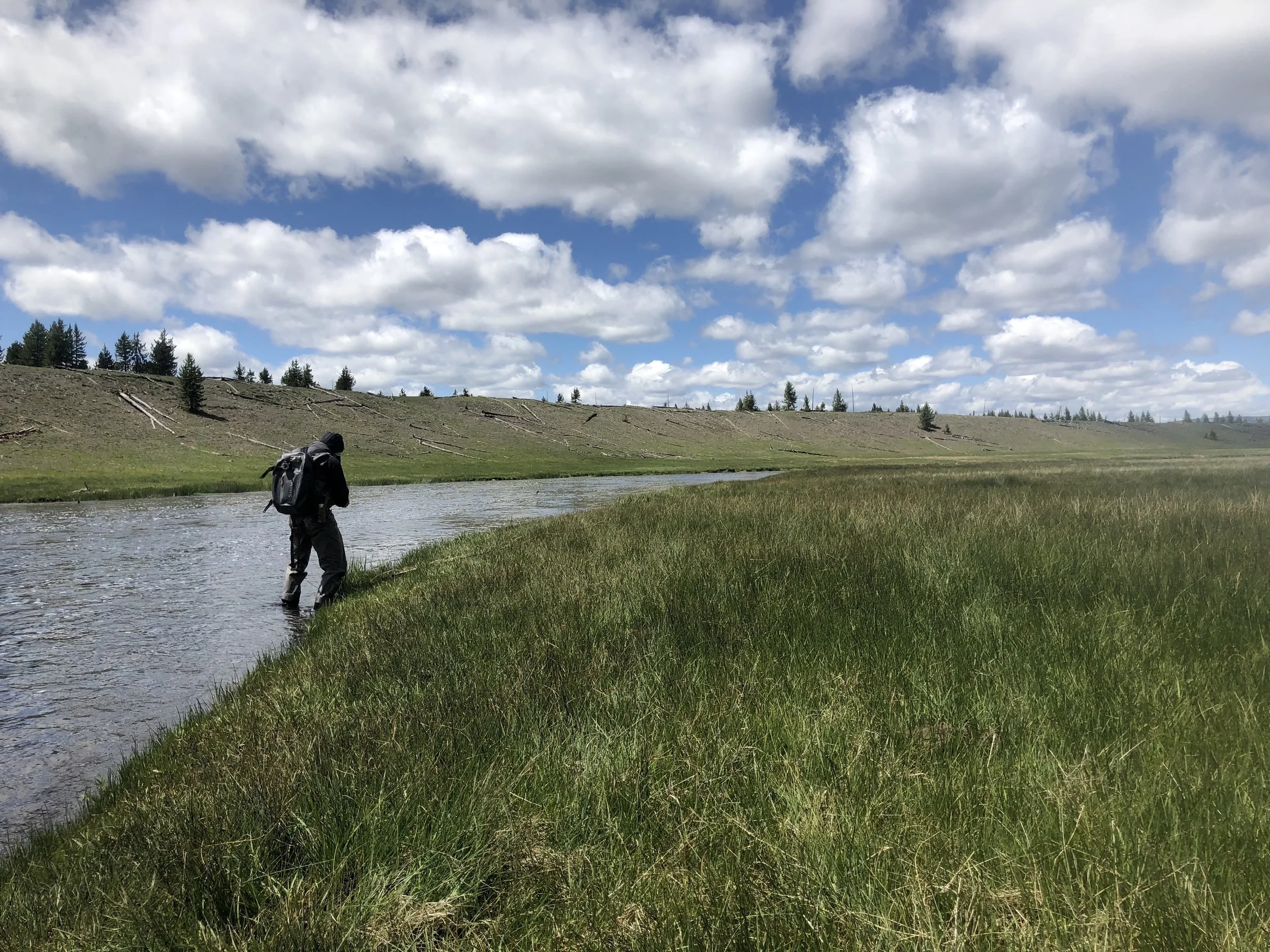 Firehole River in June