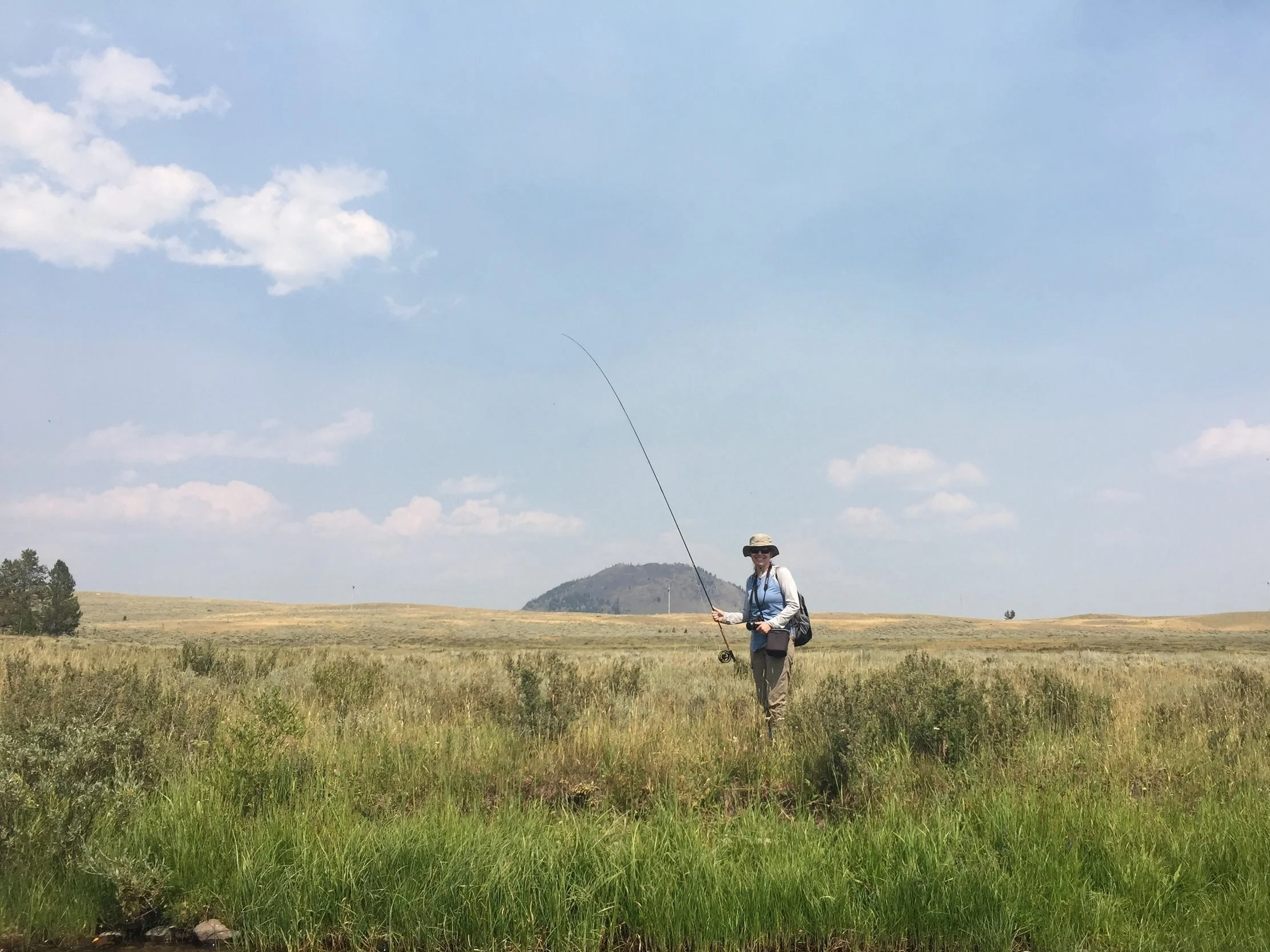 Wide open spaces- yes!