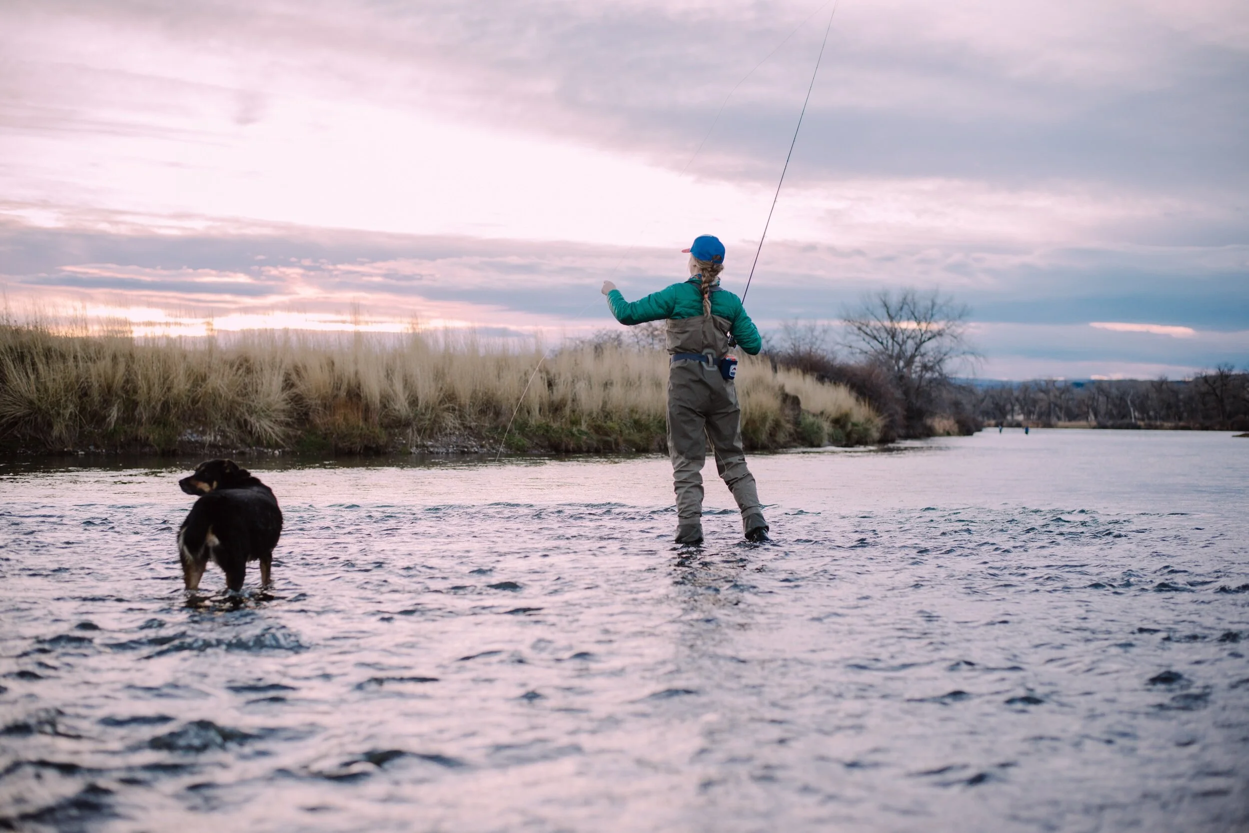 Dogs don’t bring any baggage, illness, or deadlines………….. We like having them along!