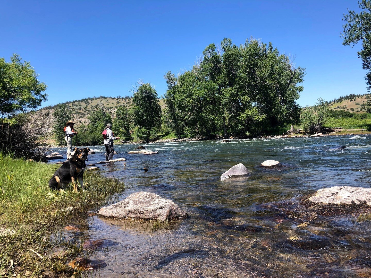 Summer days are getting close!⁠
⁠
⁠
⁠
⁠
YellowstoneRiverOutfitters.com⁠
⁠
#YRO #getemhookedyoung #yellowstone #kidswhofish  #flyfishing #simmsfishing  #dries #livingston #livingstonfishing #wading #YNP #cutties #fishpond #dies #boatdogs⁠