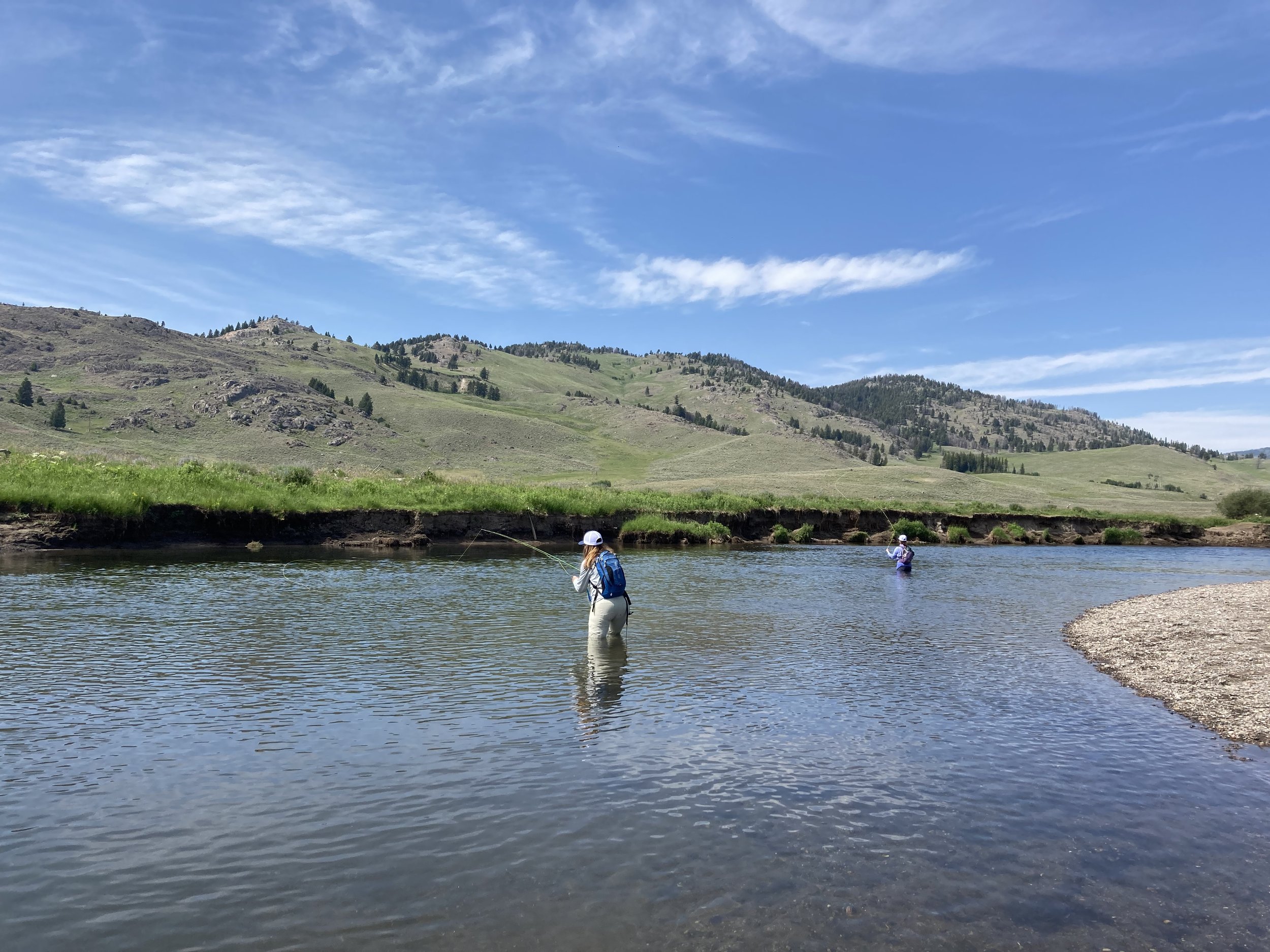 Yellowstone Northern Loop OPEN! — Yellowstone River Outfitters