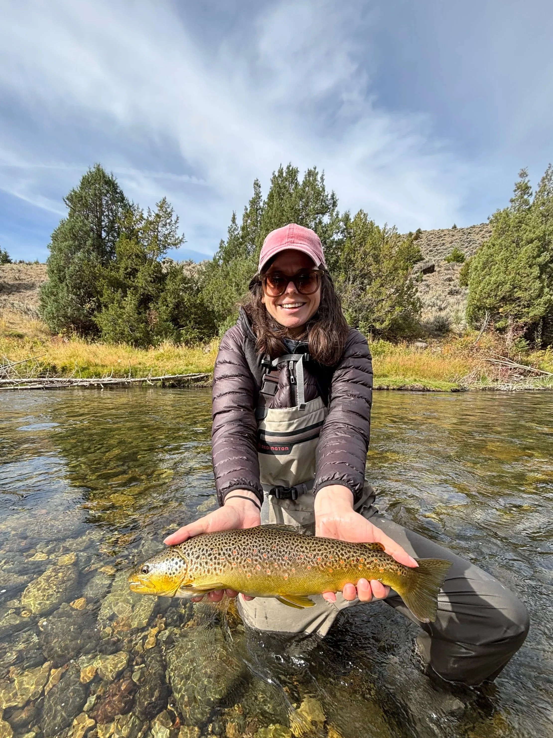 Yellowstone Brown Trout caught fly-fishing.