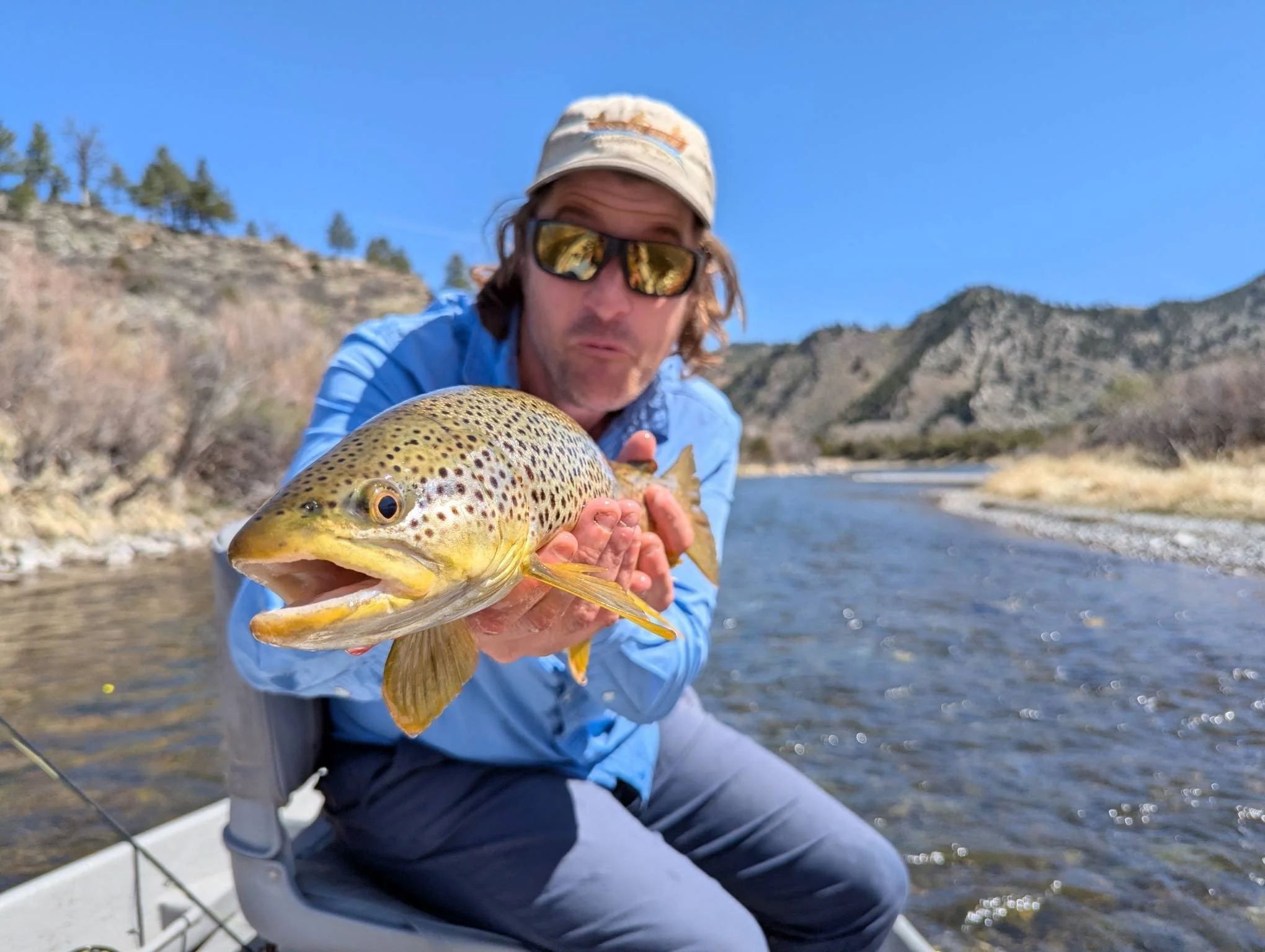 Yellowstone River Brown Trout