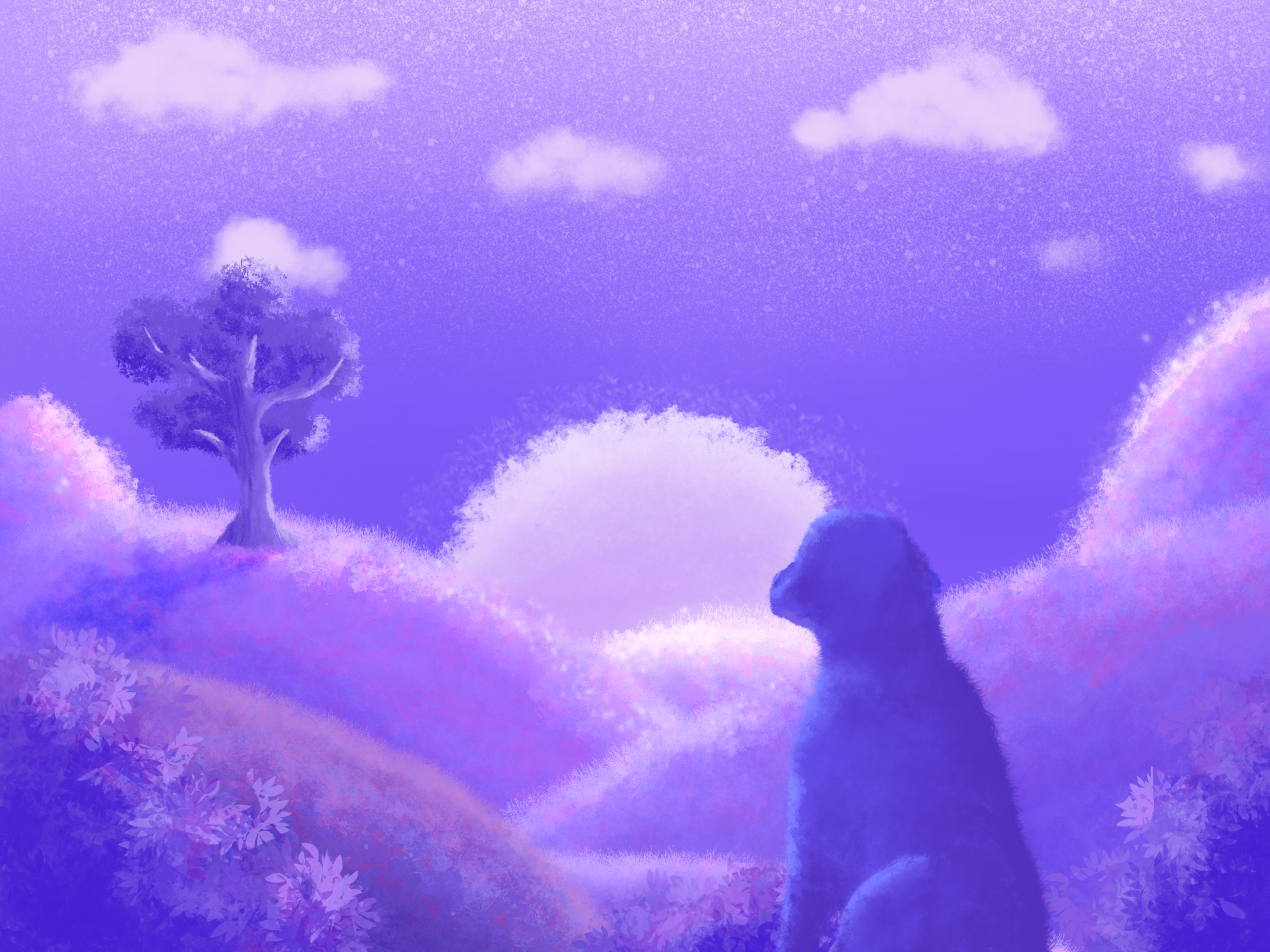 Sunset pooch