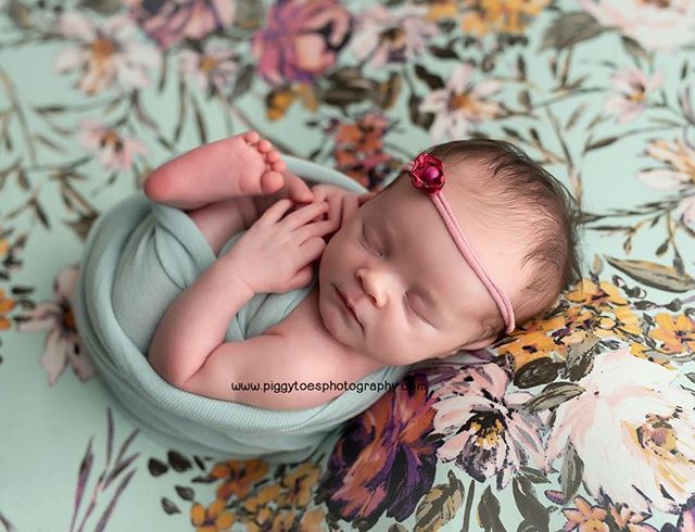 all the pretty things 💕🌷🌺 #piggytoesphotography #newbornphotography #bostonnewbornphotographer #providencenewbornphotographer #bostonbabyphotographer #providencebabyphotographer #florals #babygirl