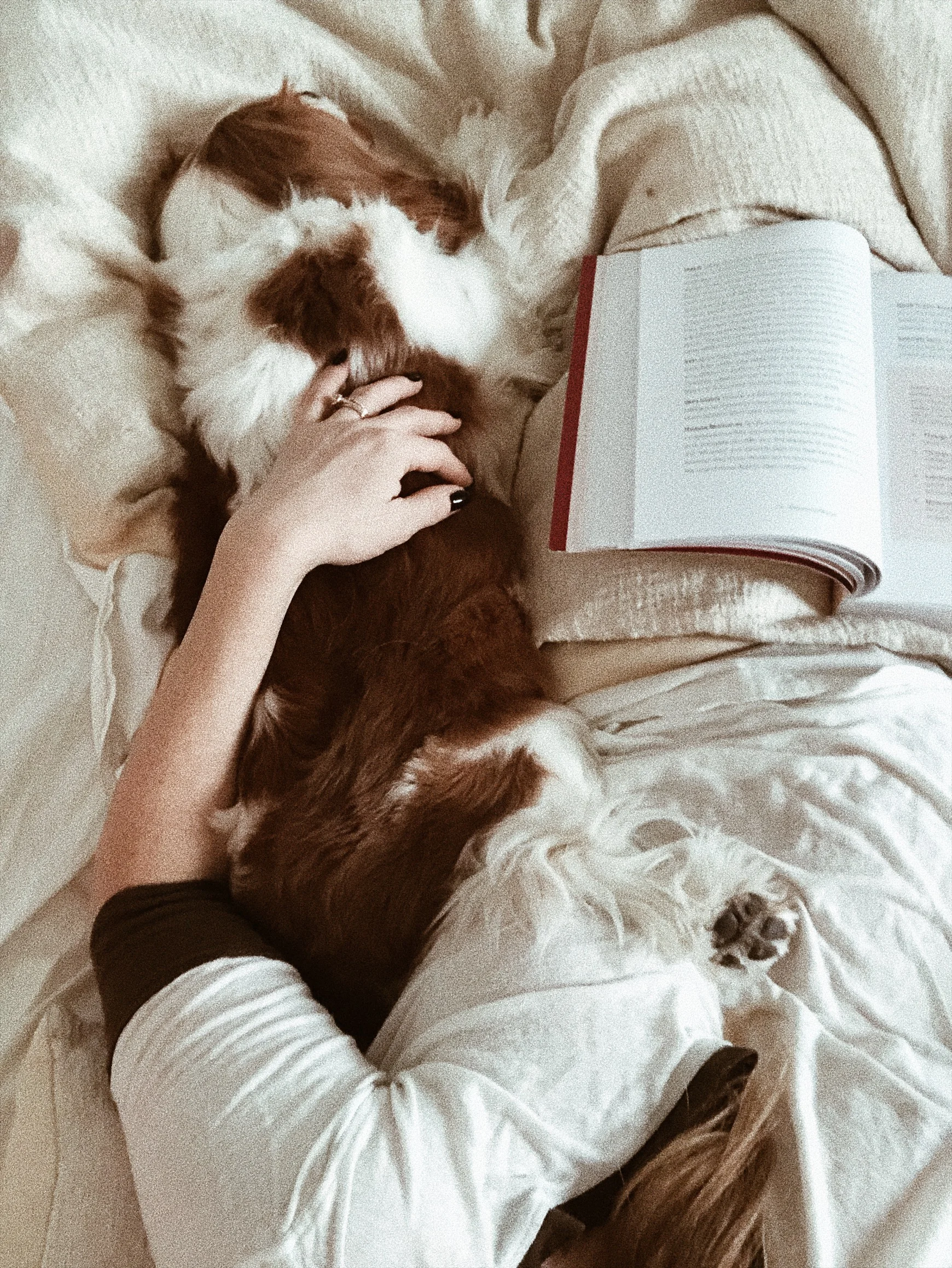 1D1AC54C-F69F-4A5A-A560-B5FC0E9BEDD8.JPG