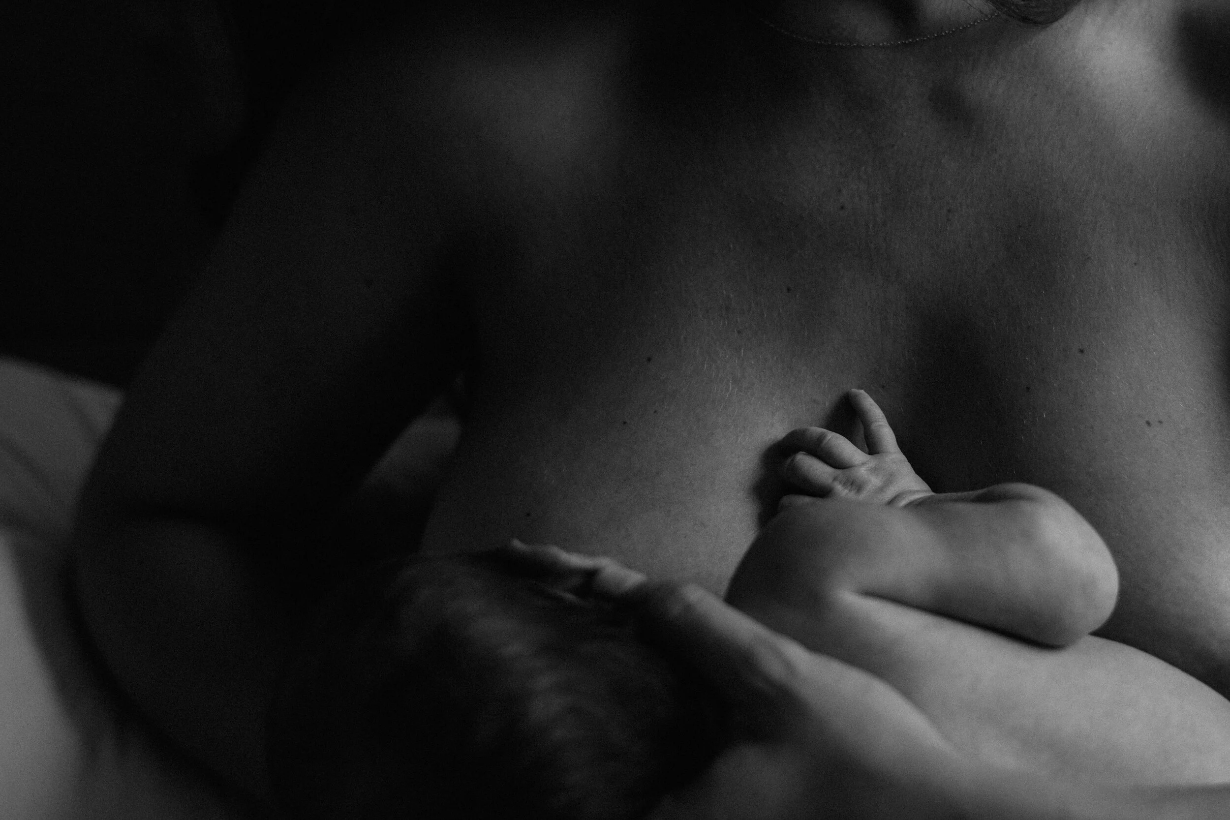 NEWBORN02.JPG