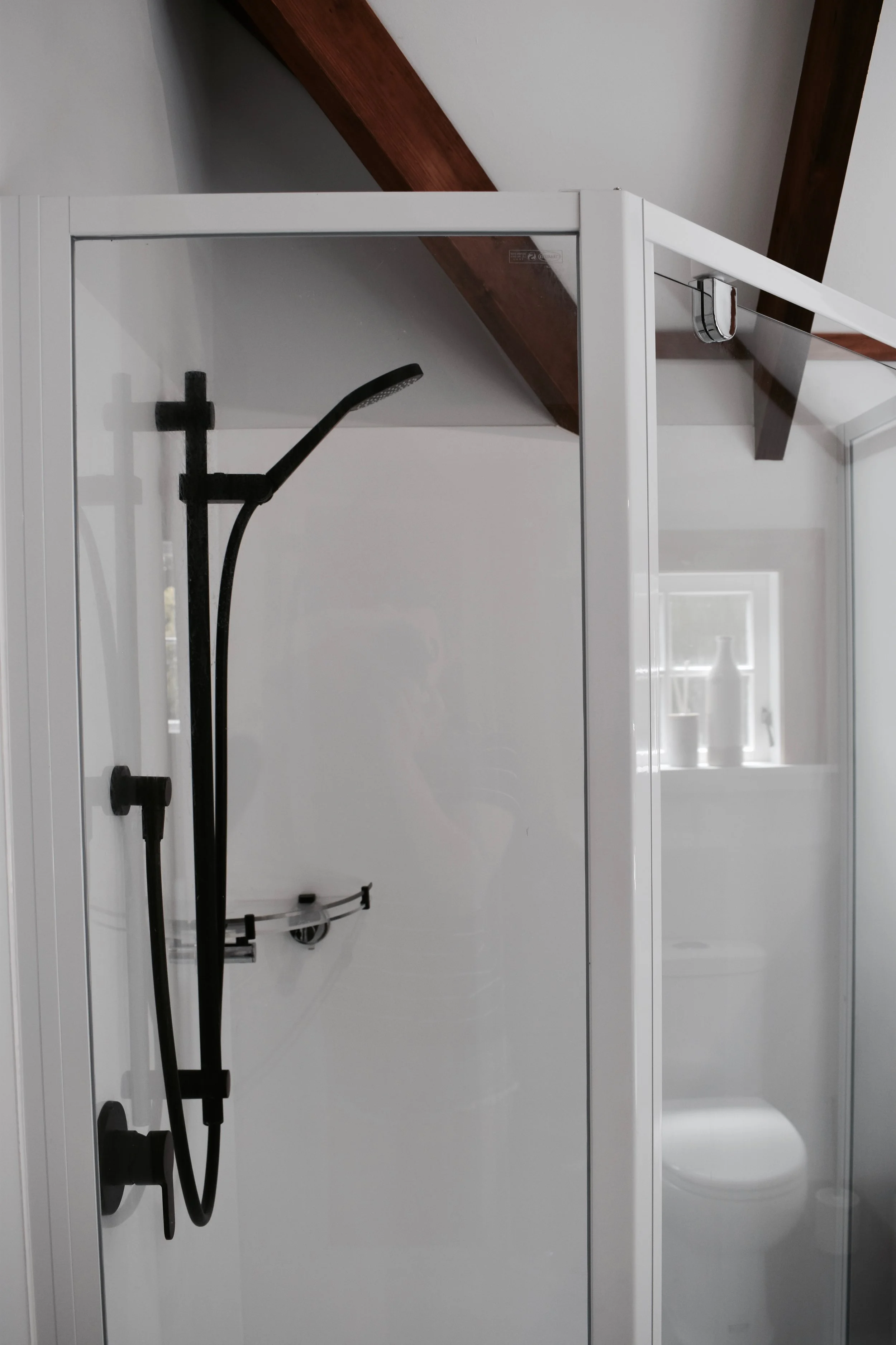 Black shower rail