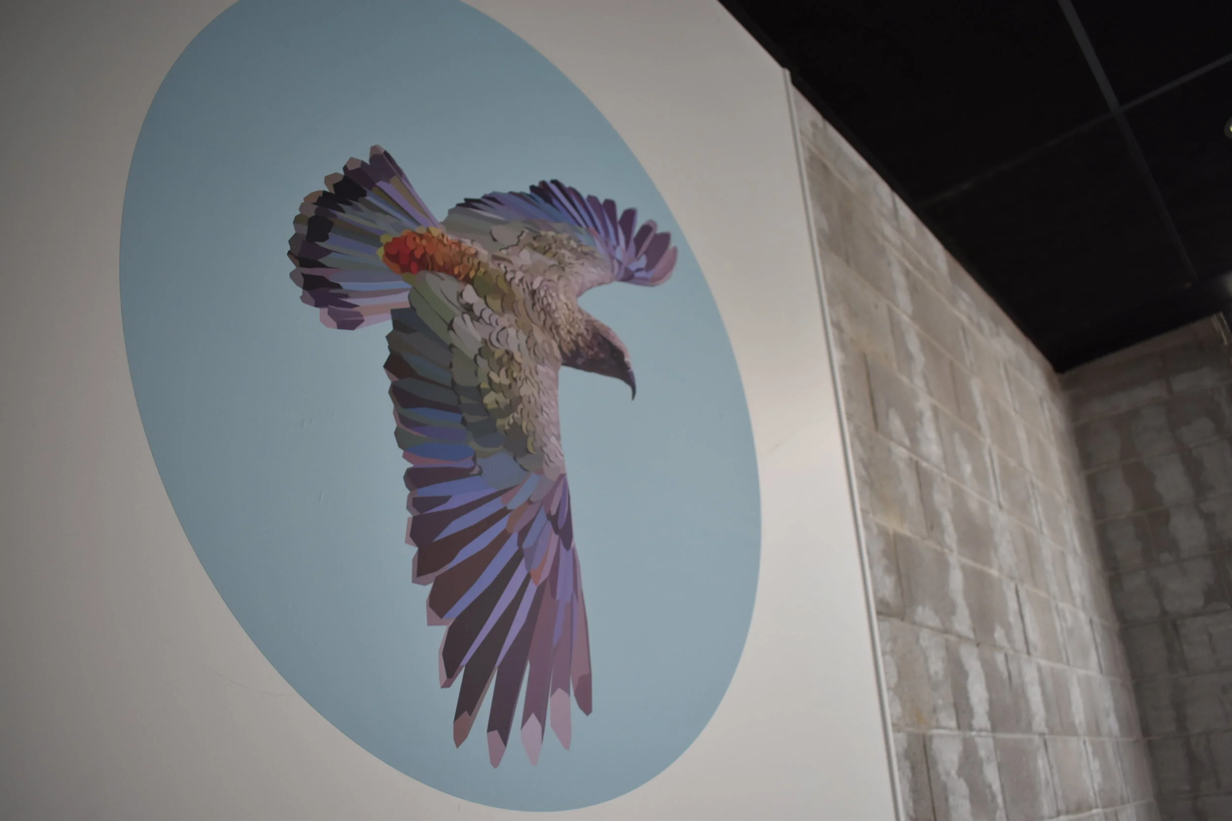 Aqua Blue Kea Decal