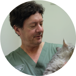 DR. MARK SAYER BVSc VETERINARIAN Mark graduated from Sydney University in 1983 and worked at various mixed practices on the outskirts of Sydney until opening the Railway Row Veterinary Clinic with Karen in 1986. He's been a part of the furniture ever since.