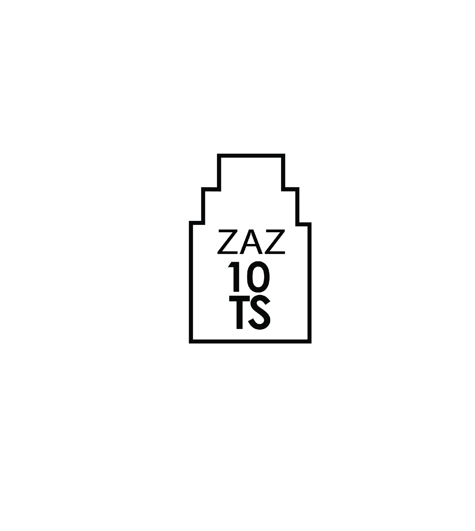 ZAZ10TS logo_V2-01.png