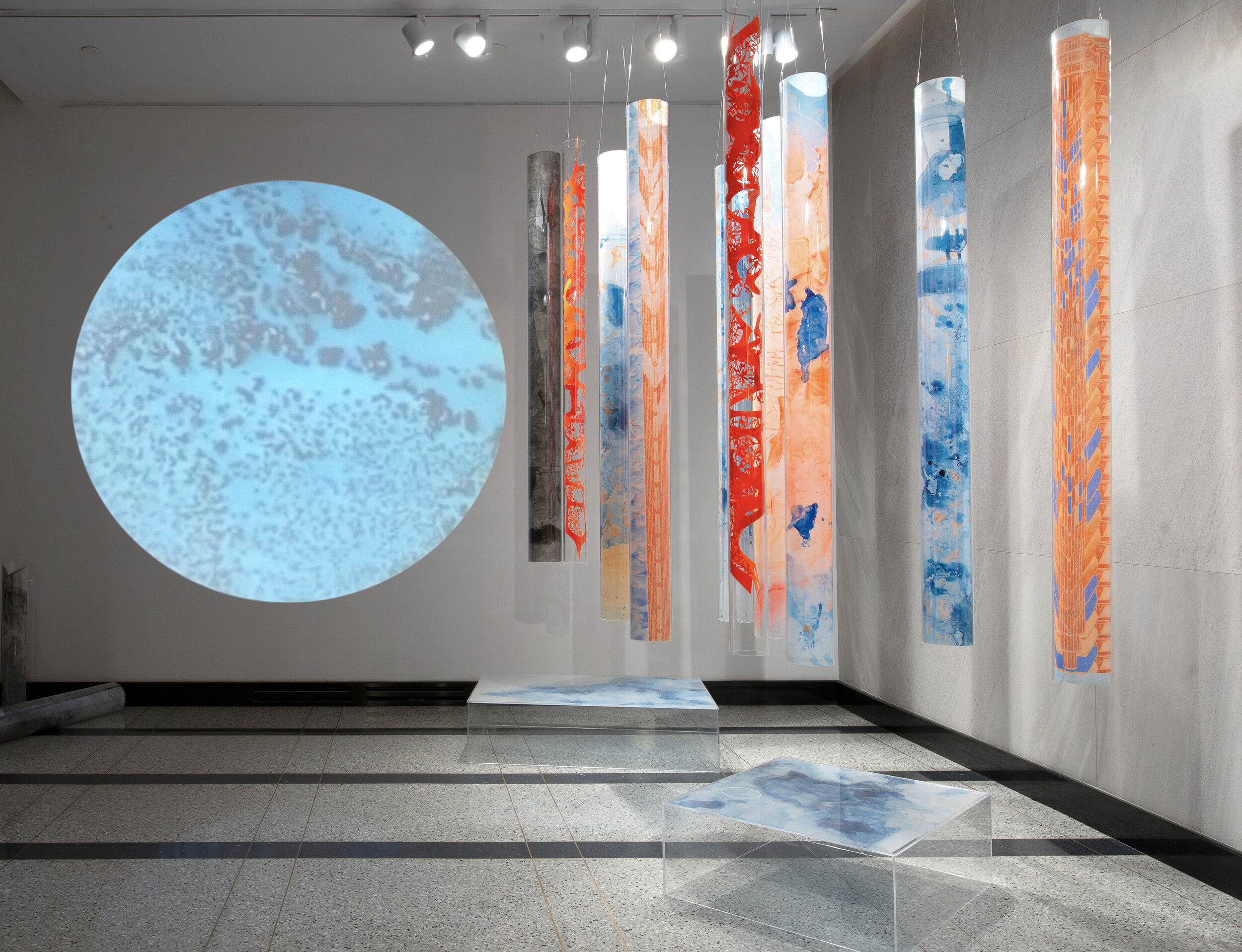  Installation view (detail), 2021, Plexiglas, ink on Mylar, video projection, variable dimensions.  Photo credit: Kat Ryals  