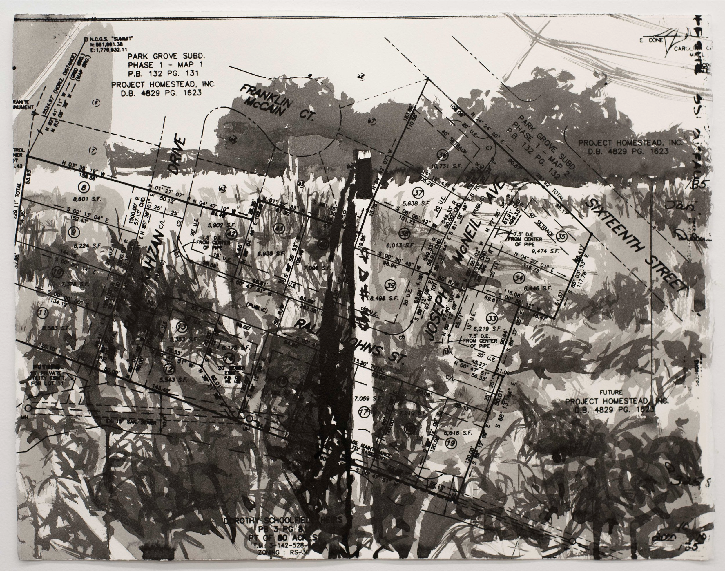 Sight/Site #4, sumi ink and screen print on paper, 15 x 22 inches, 2021