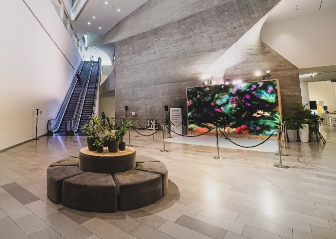 Celebration of Possibilities (with Meta and Niio) | Tel Aviv Museum | 2024