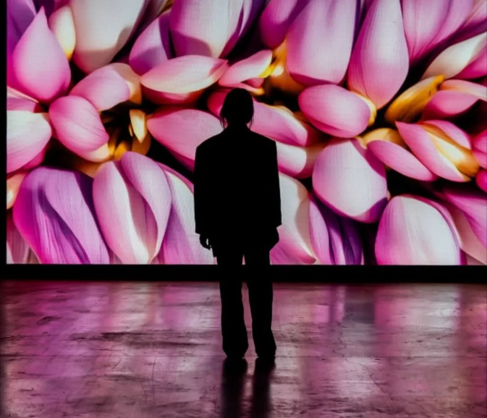 Artificial Wild Dream | Ecobiennale 2025, Nizhny Novgorod, Russia