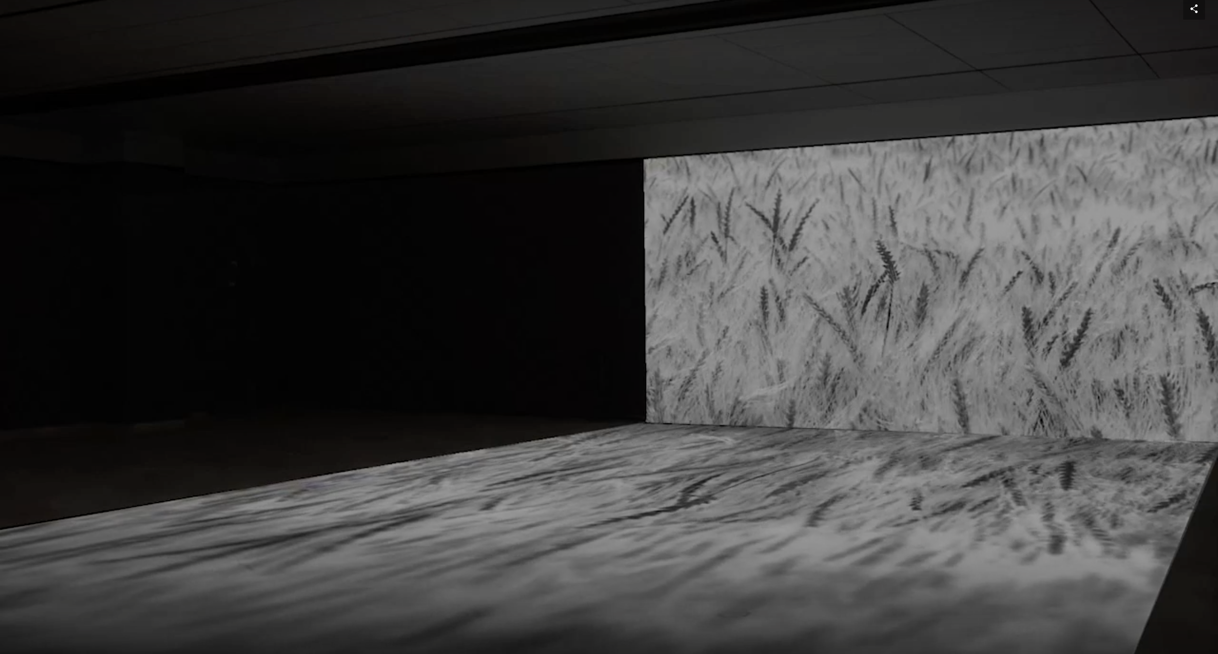 Come About | MUZA, Tel Aviv