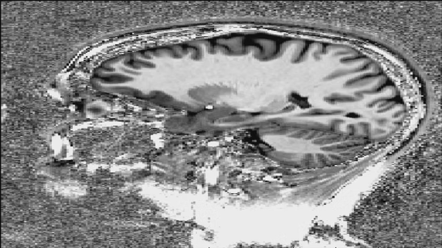 Weizmann Institute Residency | 2023