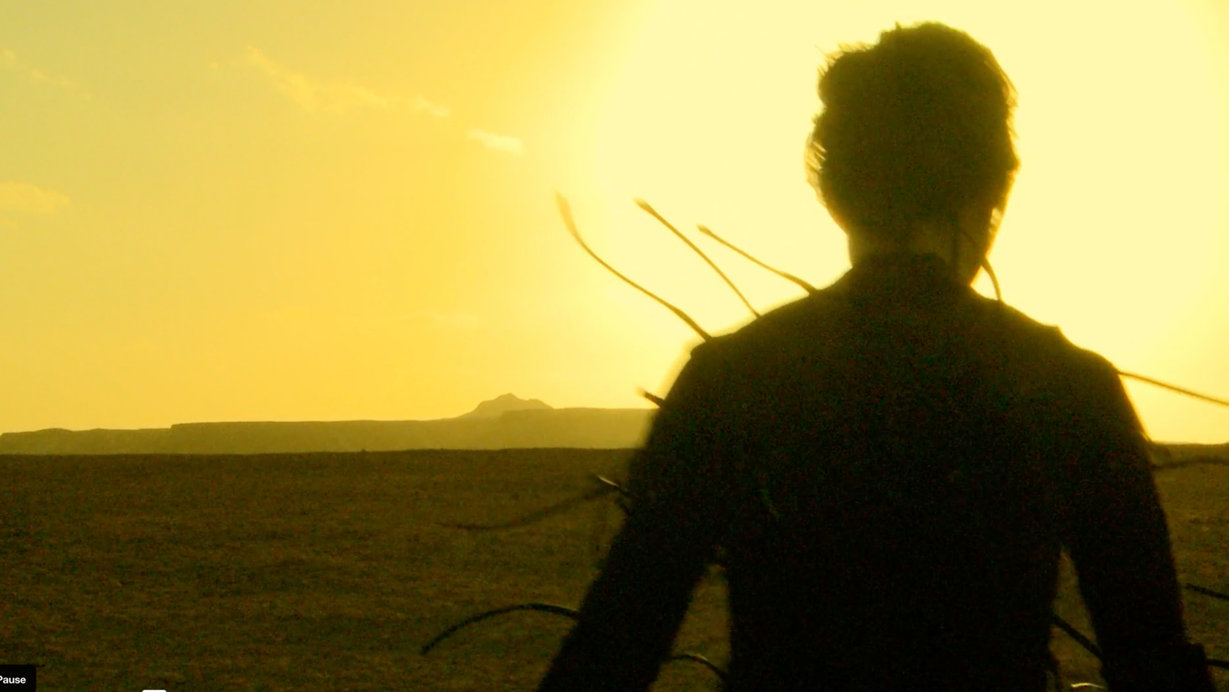 Vanishings &amp; Farwells | 2019