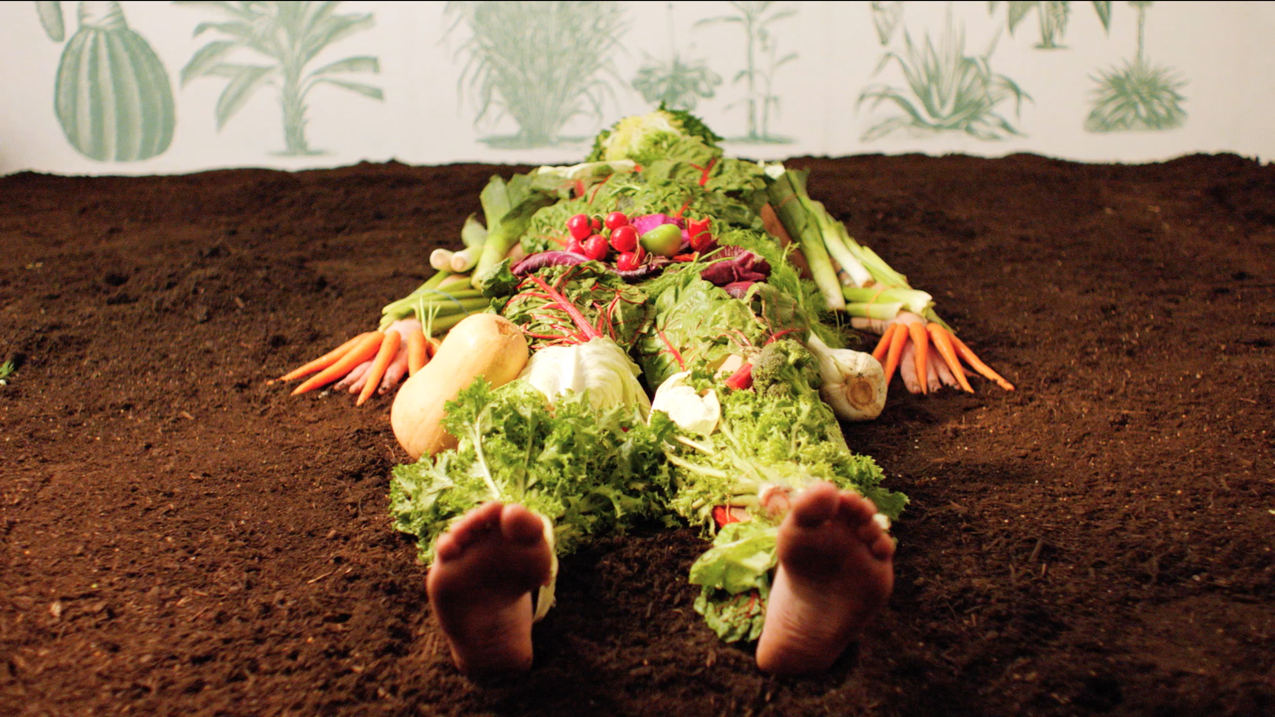 Ben Hagari | Fresh (2014) 