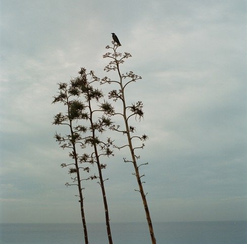 13_Facing the Sea_#4.jpeg