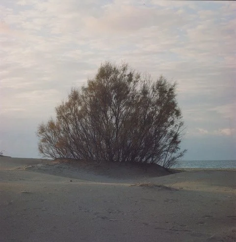 7_Facing the Sea_#2.jpeg