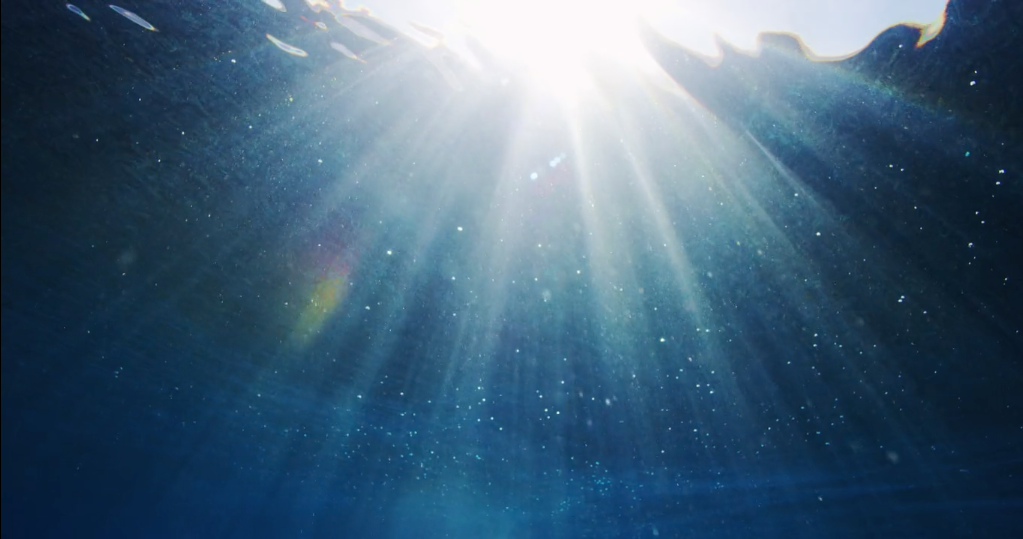 Screen Shot 2021-01-29 at 9.46.03 AM.png