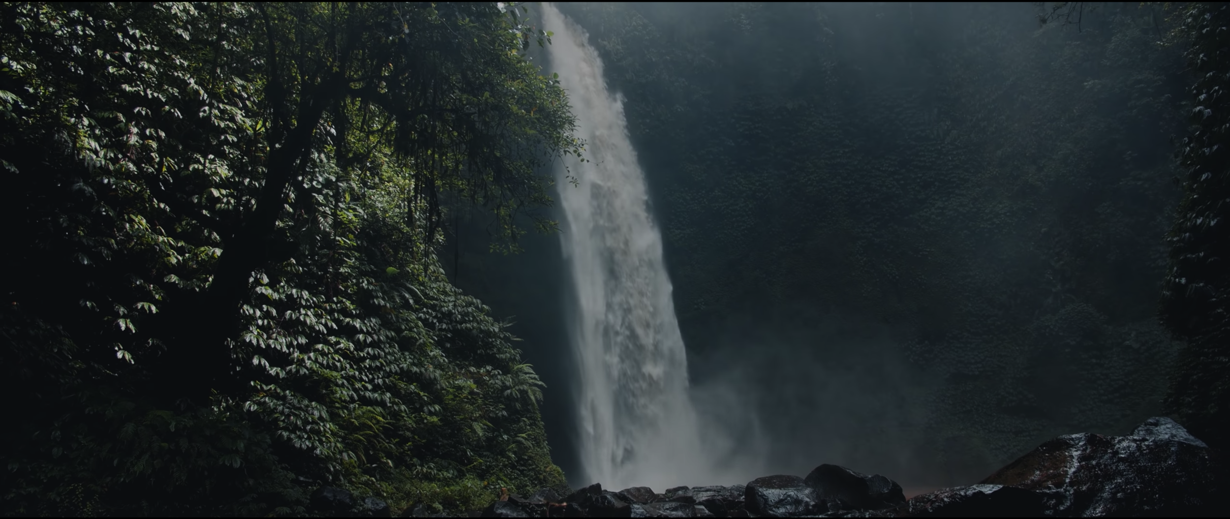 Screen Shot 2021-01-28 at 9.49.43 AM.png