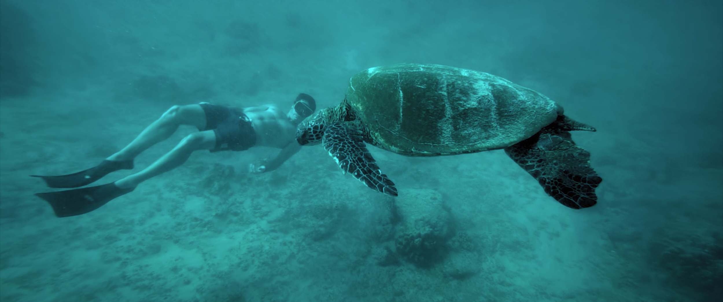 Screen Shot 2021-01-28 at 10.06.56 AM.png