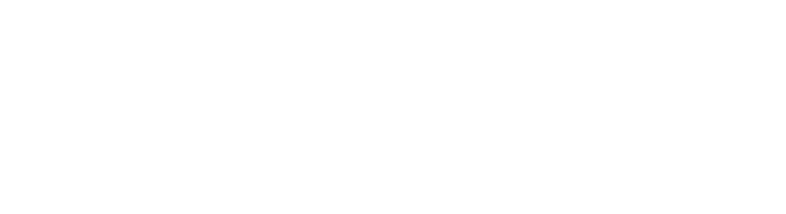 Customtek Logo REV.png