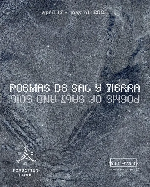 'poemas de sal y tierra' exhibition at homework