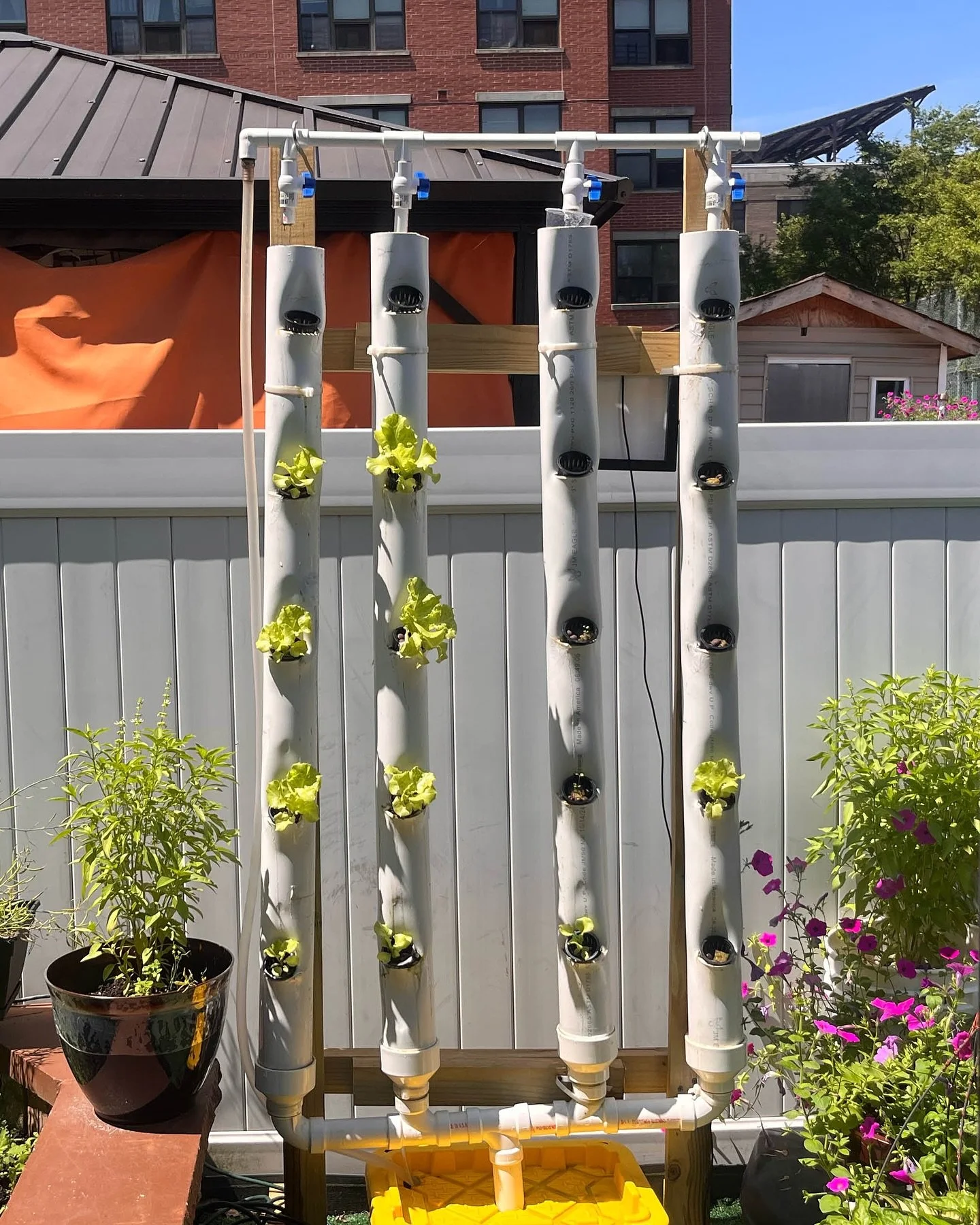 &ldquo;Cultivating Plot &amp; Preserving History&rdquo; by Keshell Scipio 🇬🇾 (@keshellscipio) a Guyanese writer and garden educator exploring how aeroponics can preserve cultural memory in a city where green space is disappearing.

&ldquo;I&rsquo;m