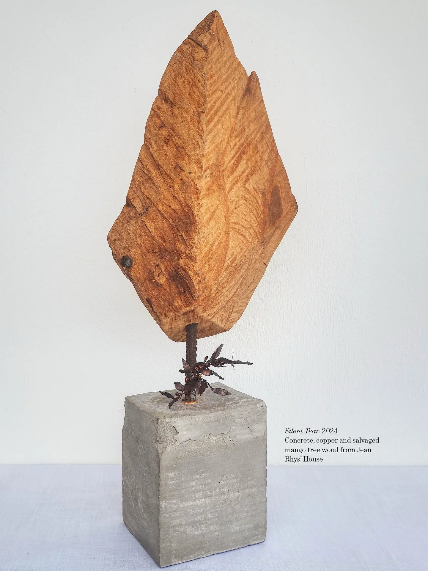 Volume 07&rsquo;s &ldquo;Silent Tear&rdquo; features Carol Sorhaindo 🇩🇲 (@carolsorhaindo), a Dominica-based visual artist whose practice explores cultural identity, migration, and psychological ruination.

Silent Tear was born from a specific act o