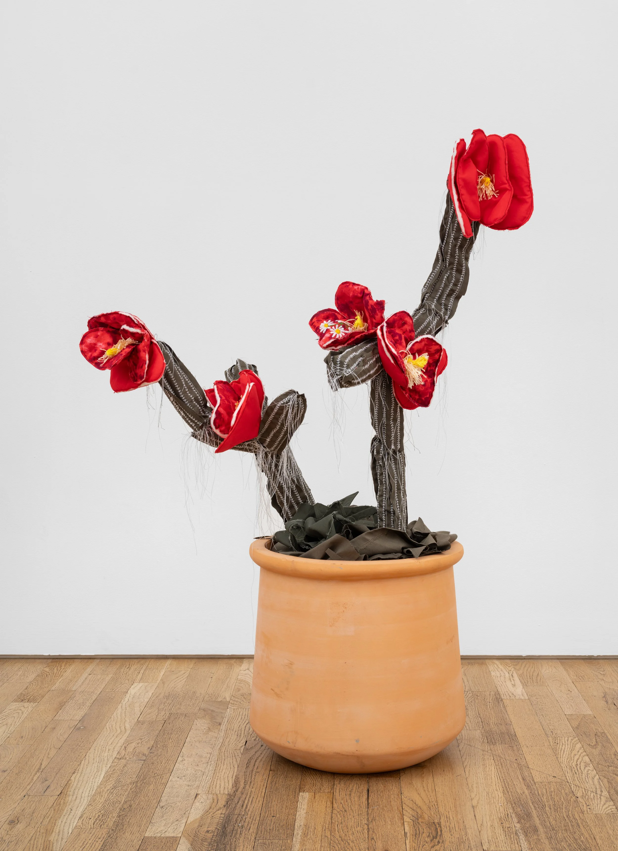 Jane-Lombard-Gallery-Margarita-Cabrera-Space-in-Between-Cholla-in-collaboration-with-N.P.-2025.jpg