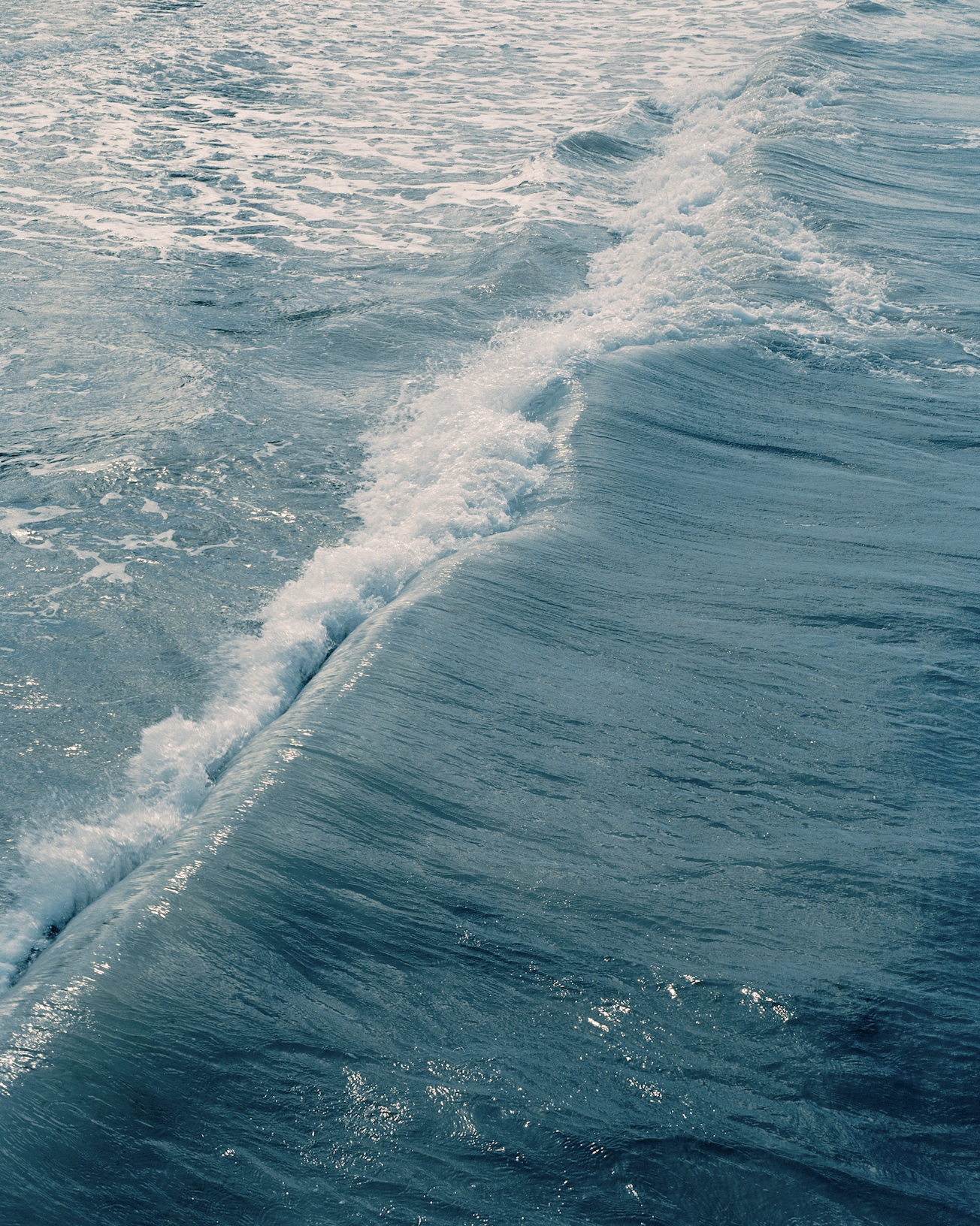 Caribbean Seas by Cédrine Scheidig