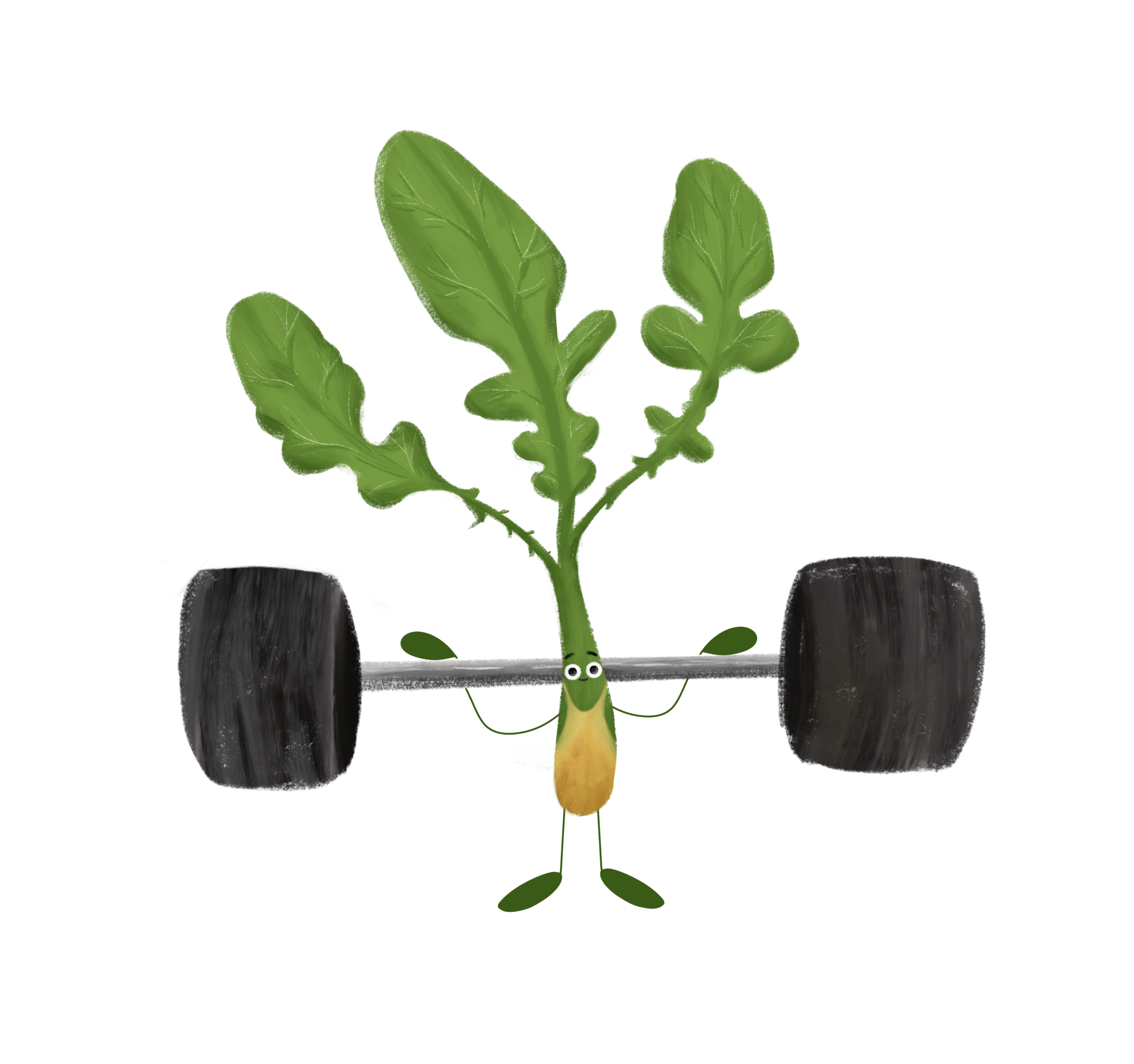 Untitled_Artwork 68.png
