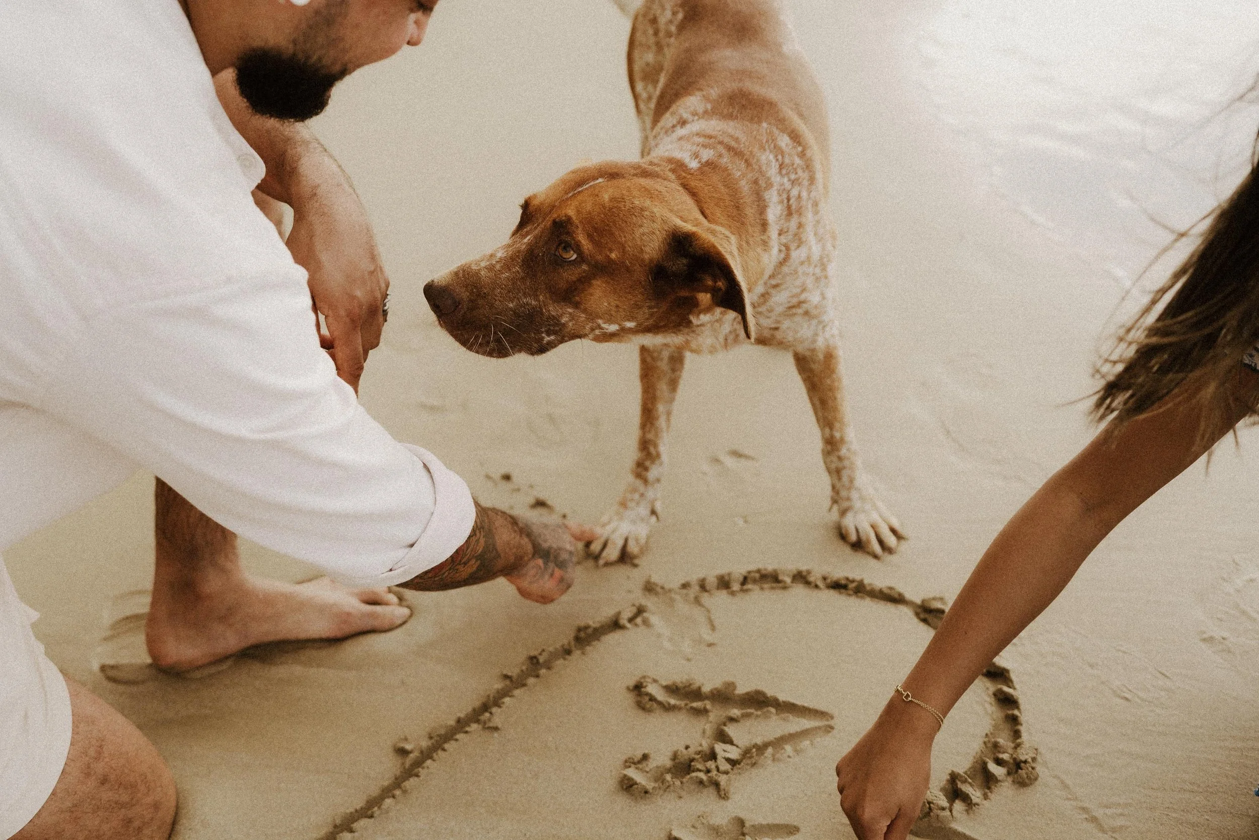 adolfo-florentino-punta-cana-dominican-republic-wedding-photographer-samana-proposal (53).jpg
