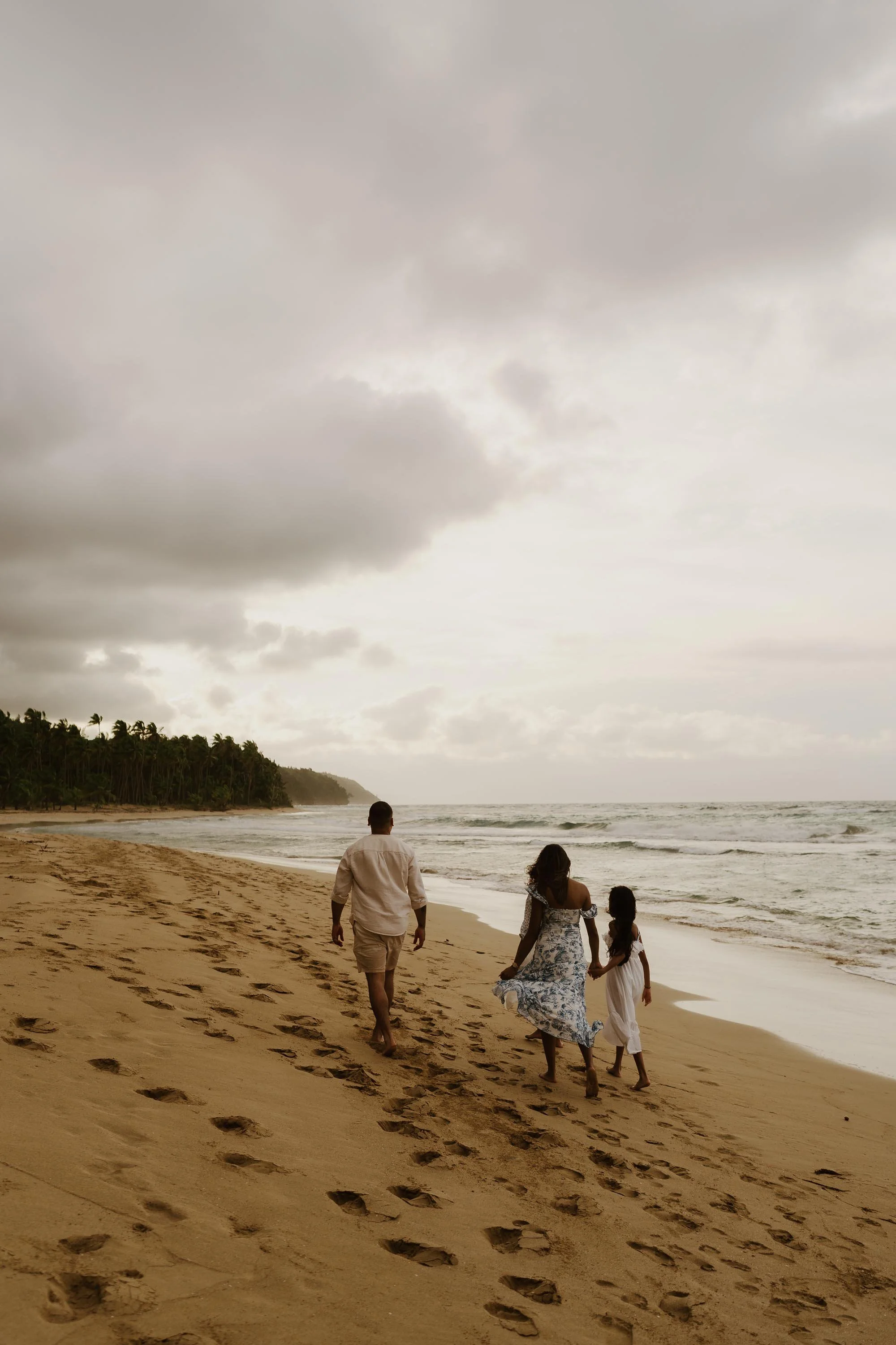 adolfo-florentino-punta-cana-dominican-republic-wedding-photographer-samana-proposal (402).jpg