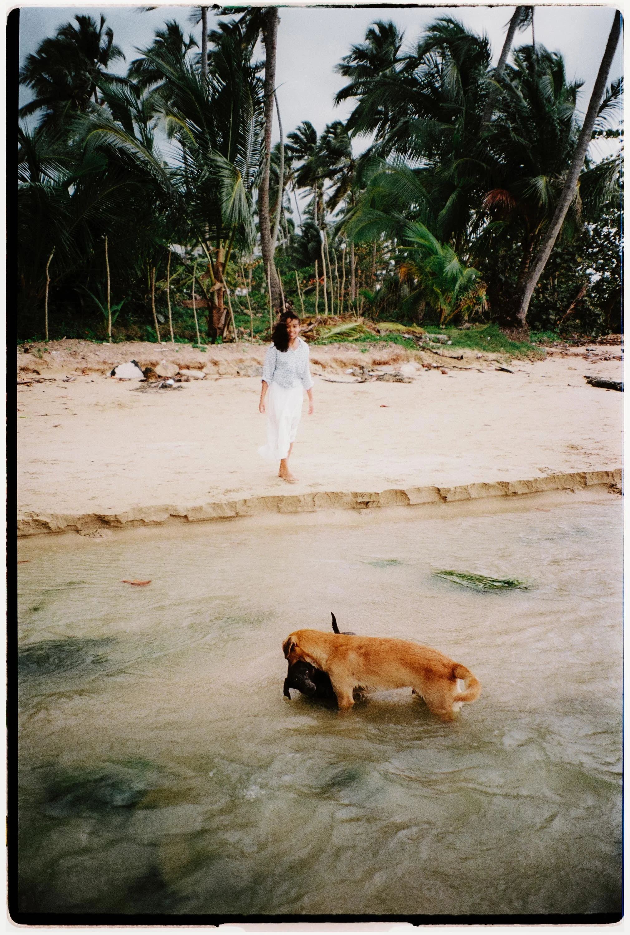adolfo-florentino-punta-cana-dominican-republic-wedding-photographer-samana-proposal (412).jpg