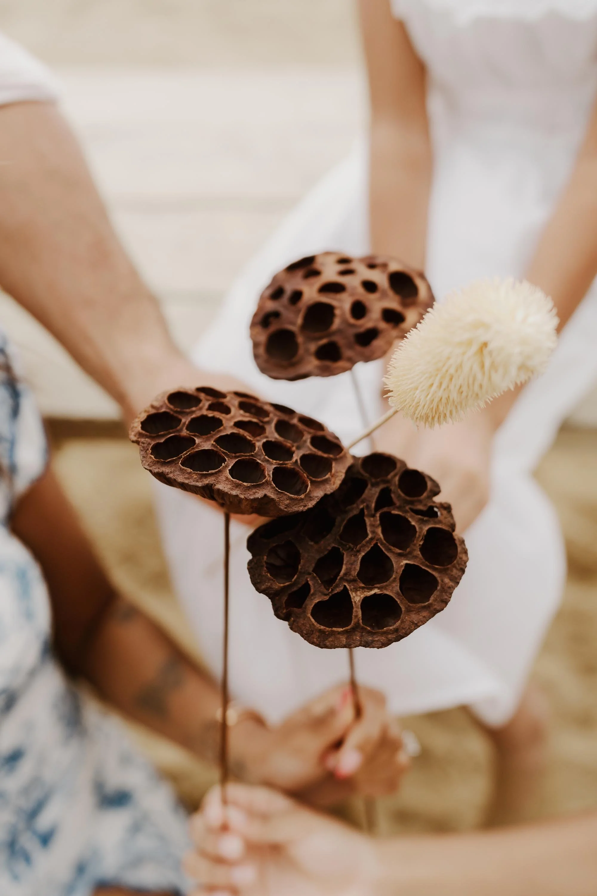adolfo-florentino-punta-cana-dominican-republic-wedding-photographer-samana-proposal (429).jpg