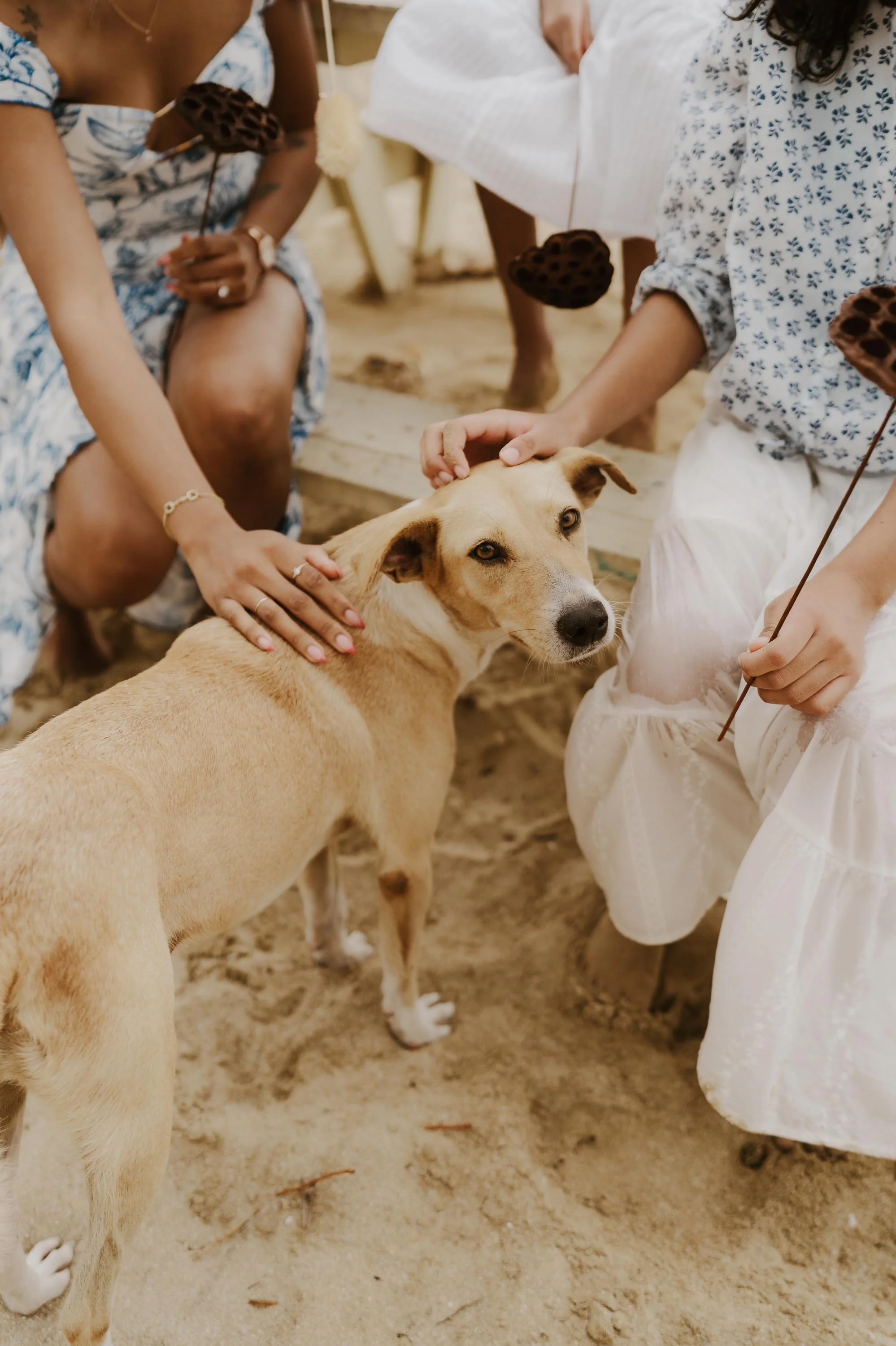 adolfo-florentino-punta-cana-dominican-republic-wedding-photographer-samana-proposal (431).jpg