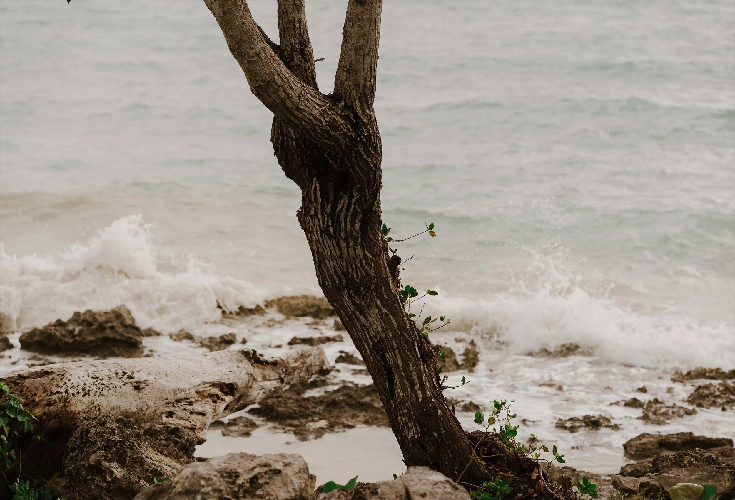 secrets-la-romana-wedding-photography-candid-adolfo-florentino-photography (86).jpg