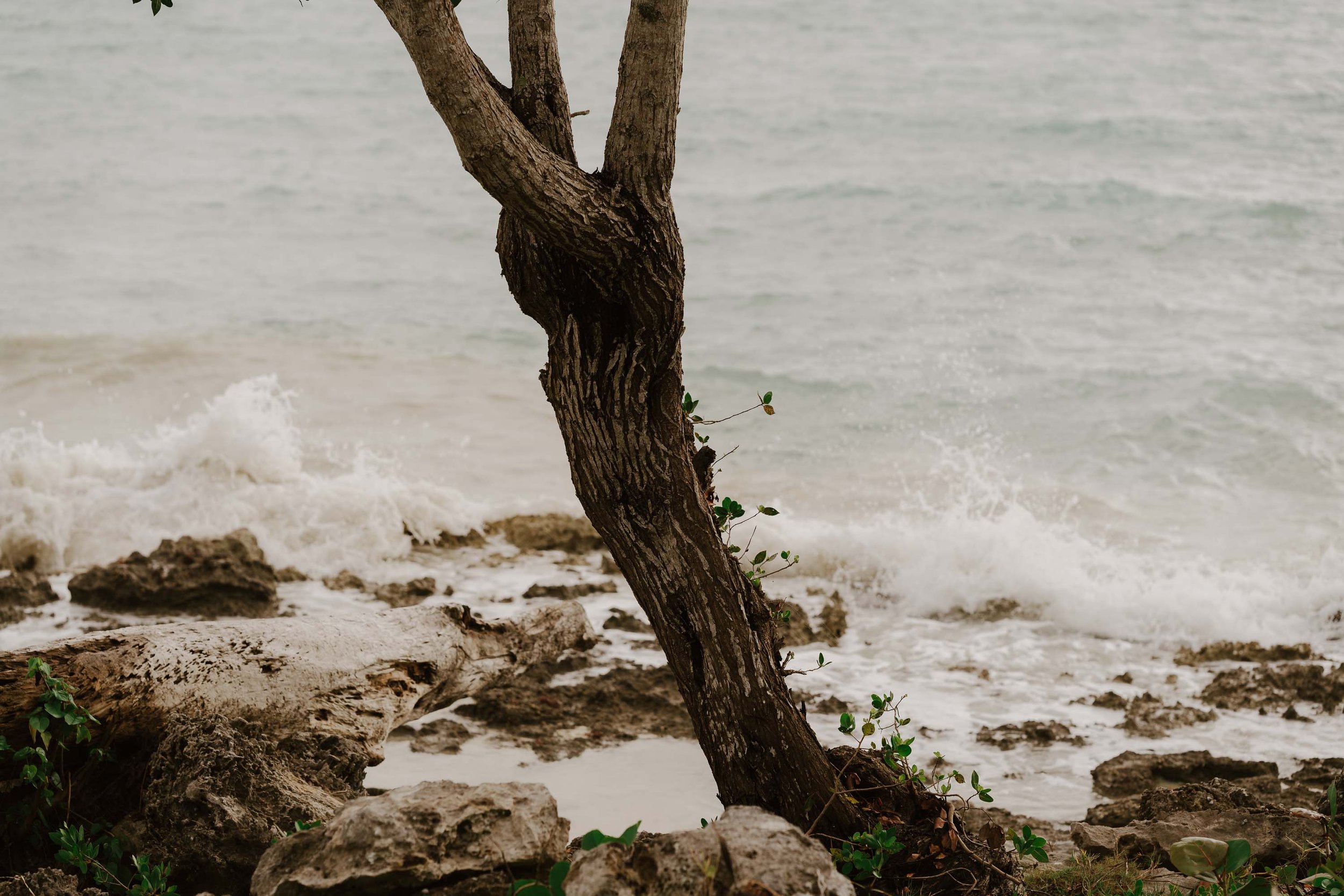 secrets-la-romana-wedding-photography-candid-adolfo-florentino-photography (87).jpg