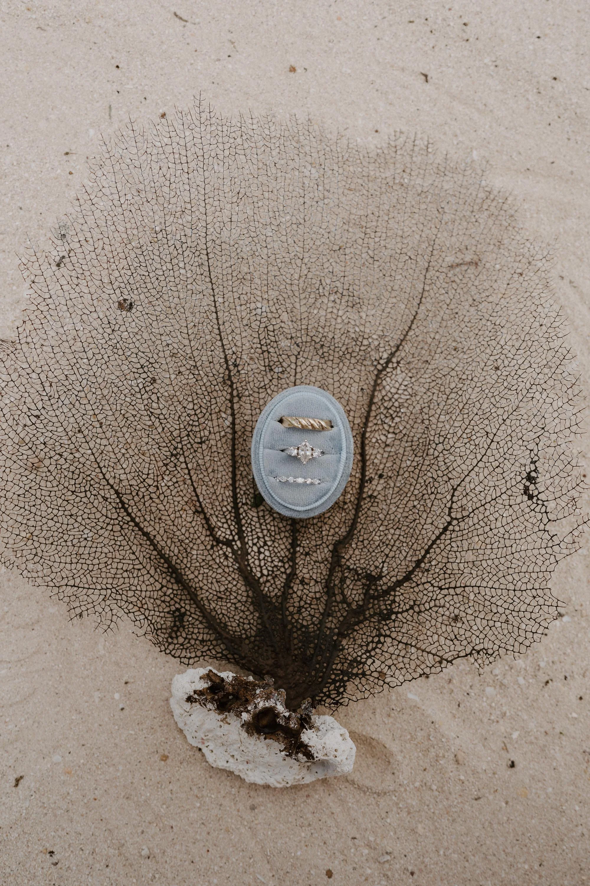 la-romana-punta-cana-wedding-photographer-adolfo-florentino-katie-byron-ocean (13).jpg