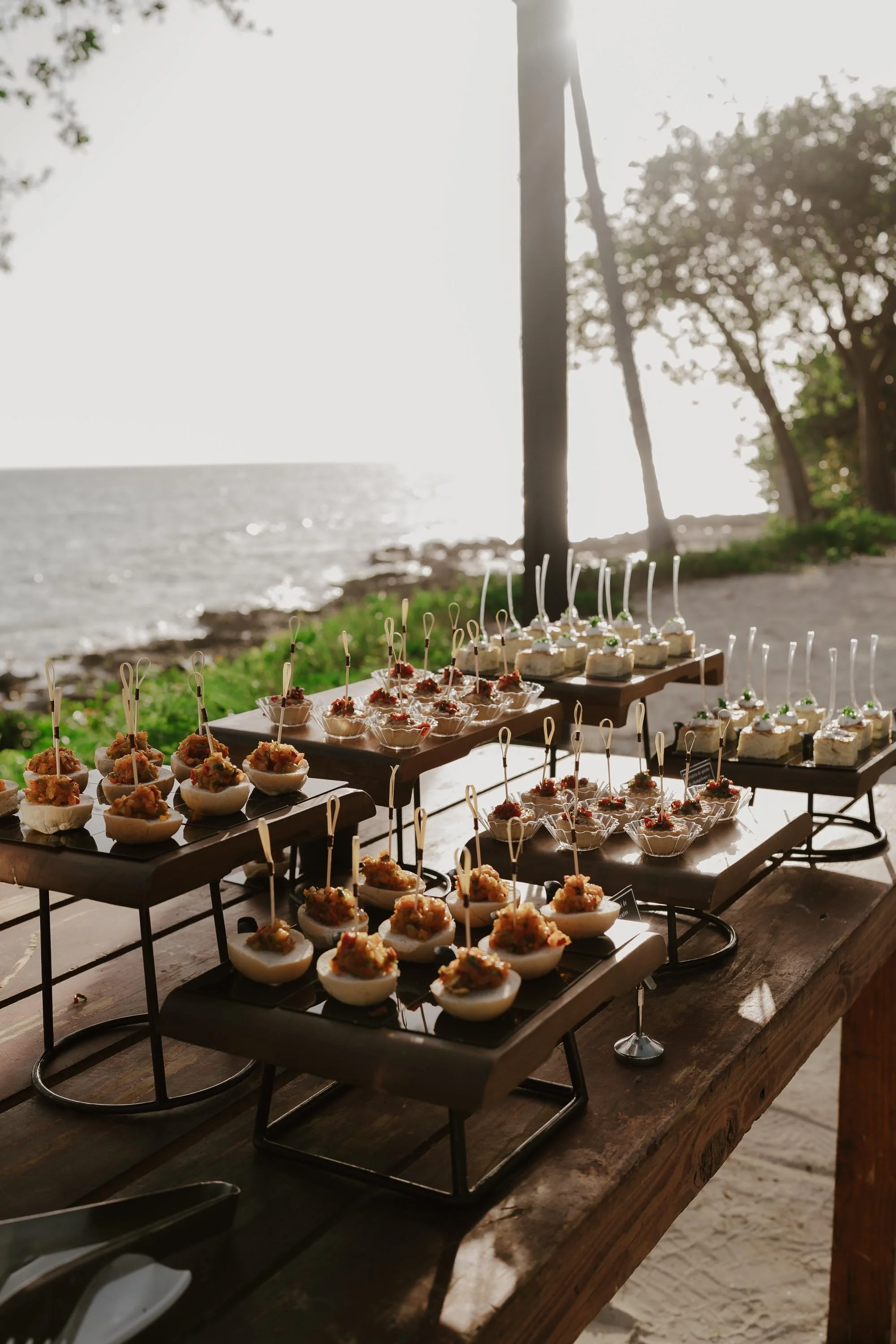 la-romana-punta-cana-wedding-photographer-adolfo-florentino-katie-byron-ocean (143).jpg