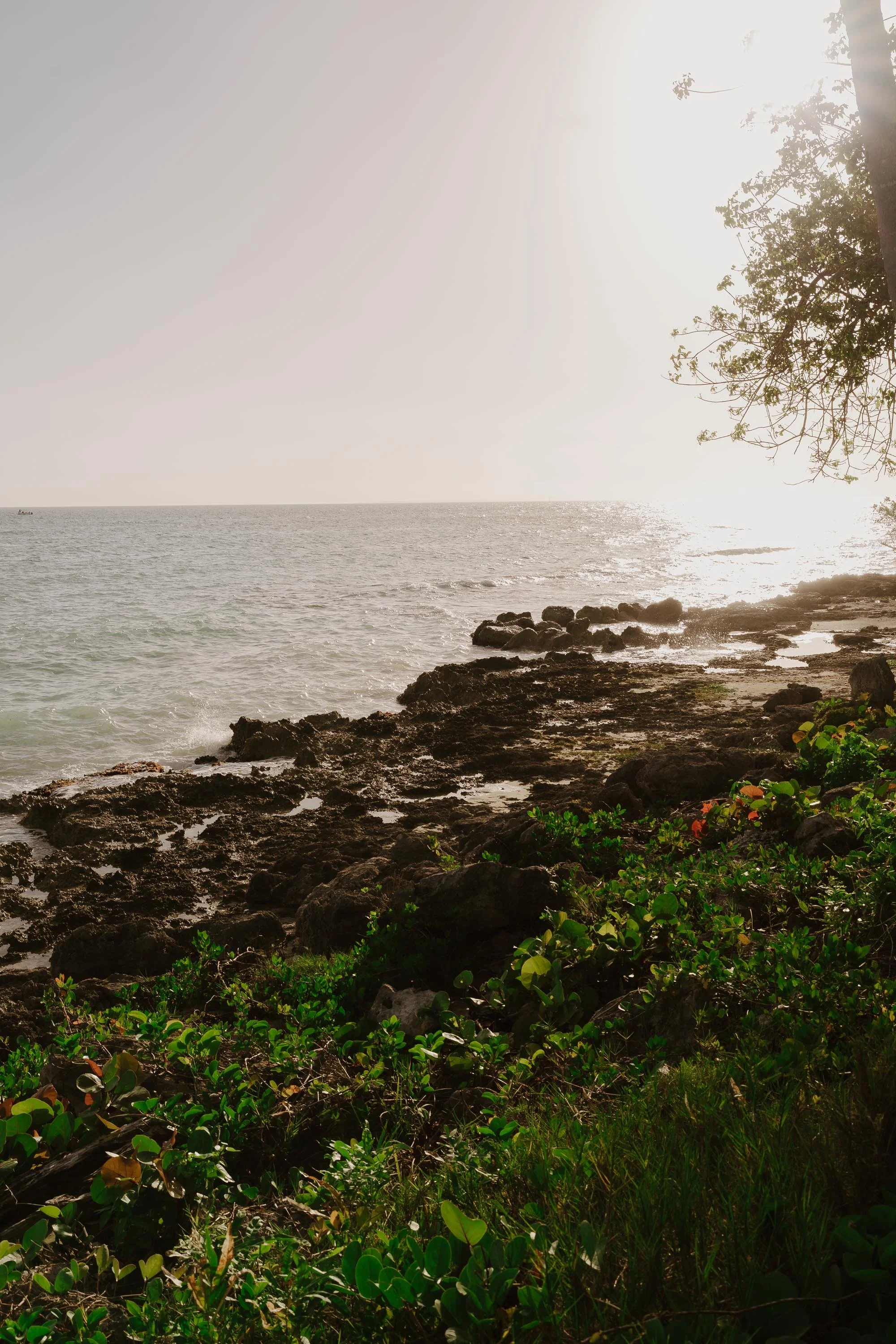 la-romana-punta-cana-wedding-photographer-adolfo-florentino-katie-byron-ocean (144).jpg
