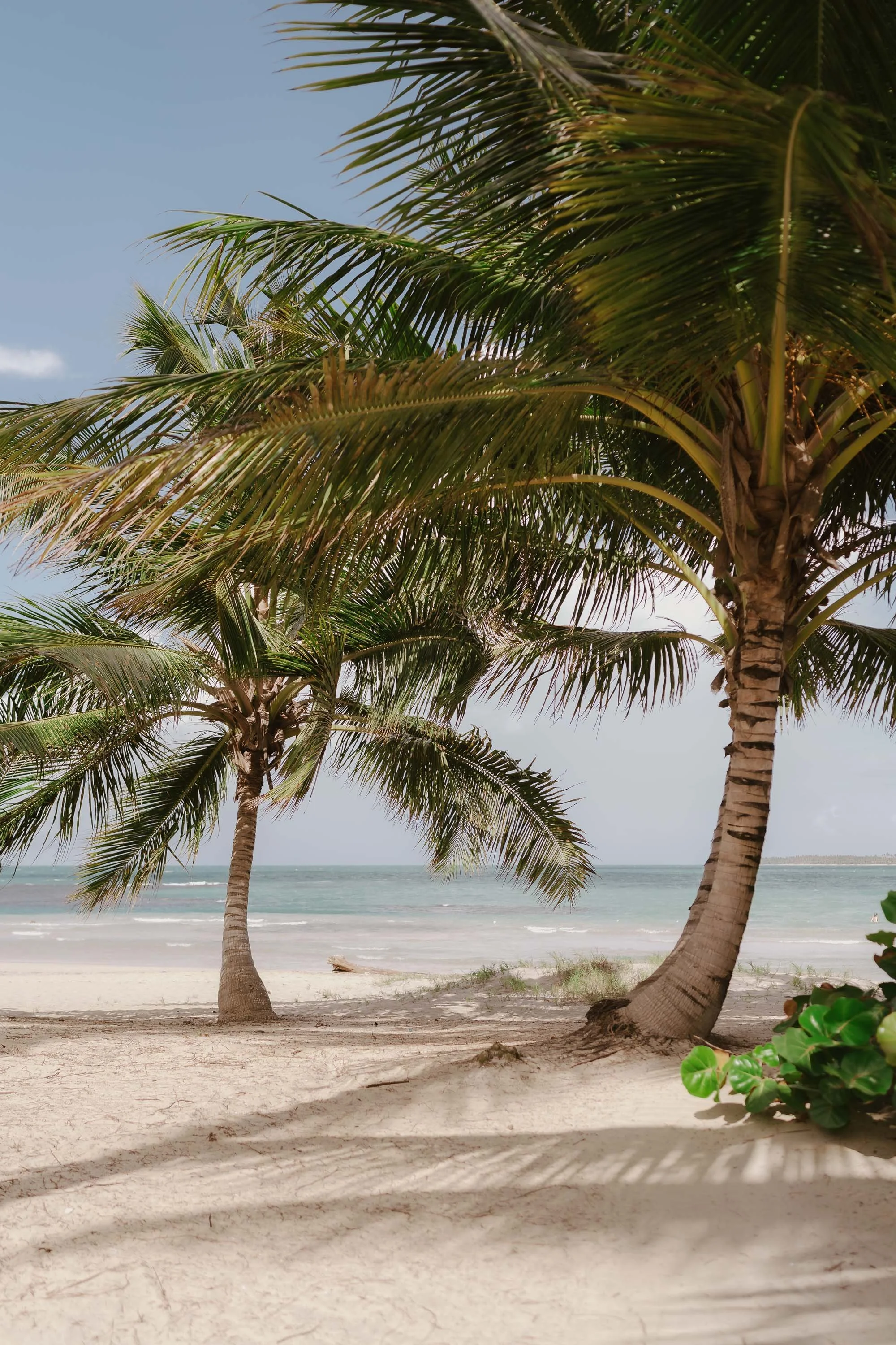 dreams-secrets-esmeralda-punta-cana-dominican-republic-wedding-photographer-miches-adolfo-florentino-photography (95).jpg