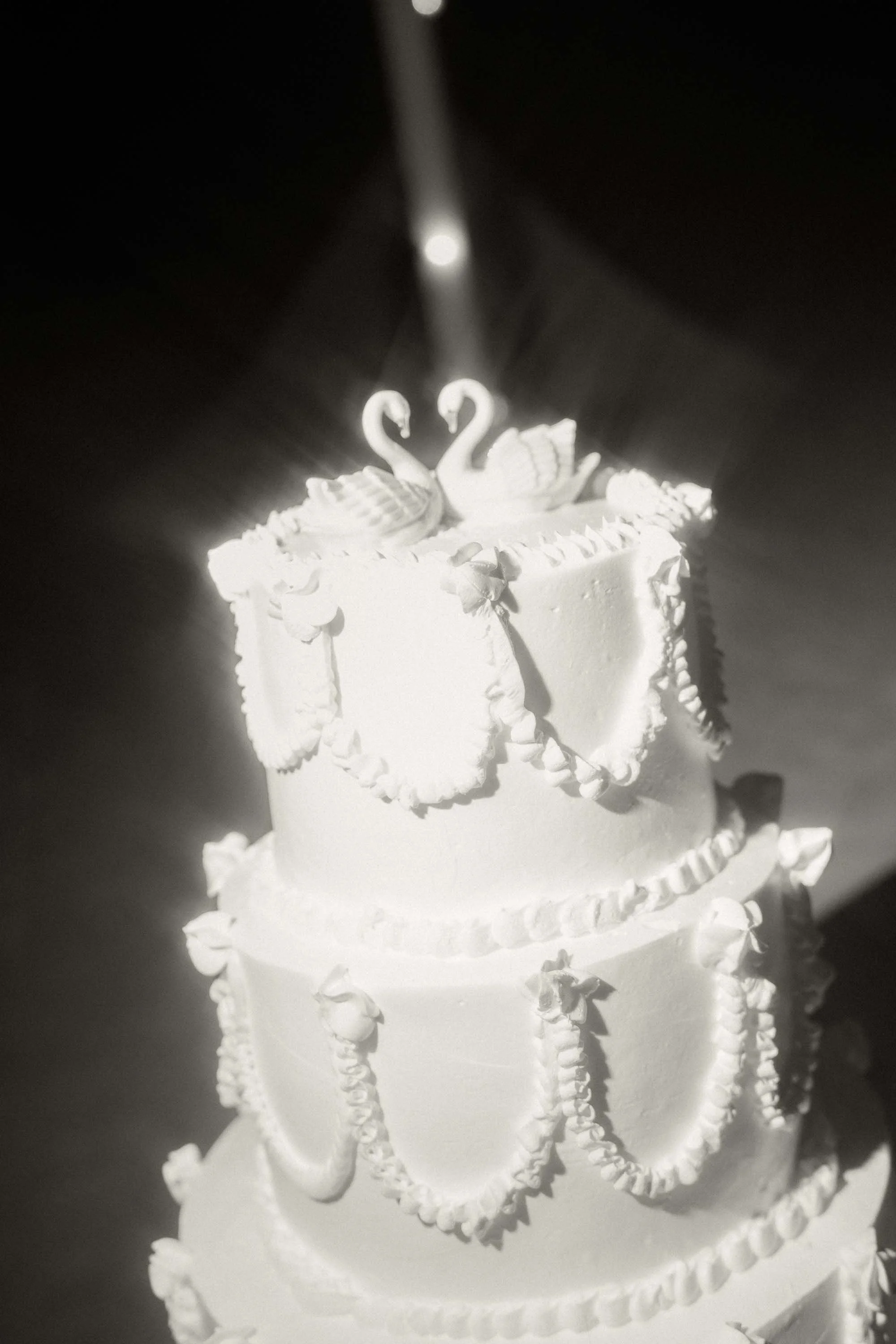 destination-wedding-bavar-punta-cana-reception (56).jpg